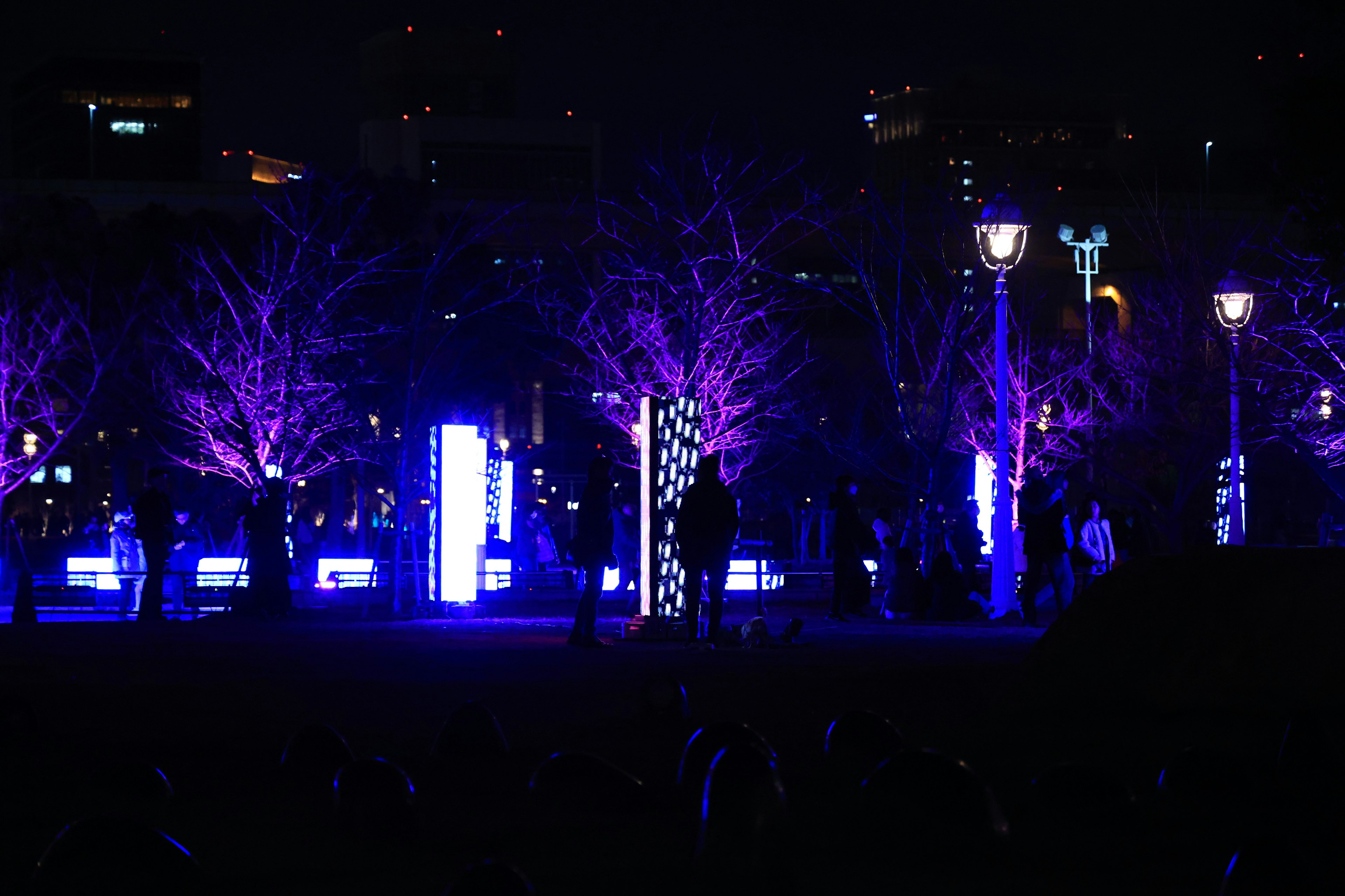 Night scene in a park featuring illuminated trees and structures