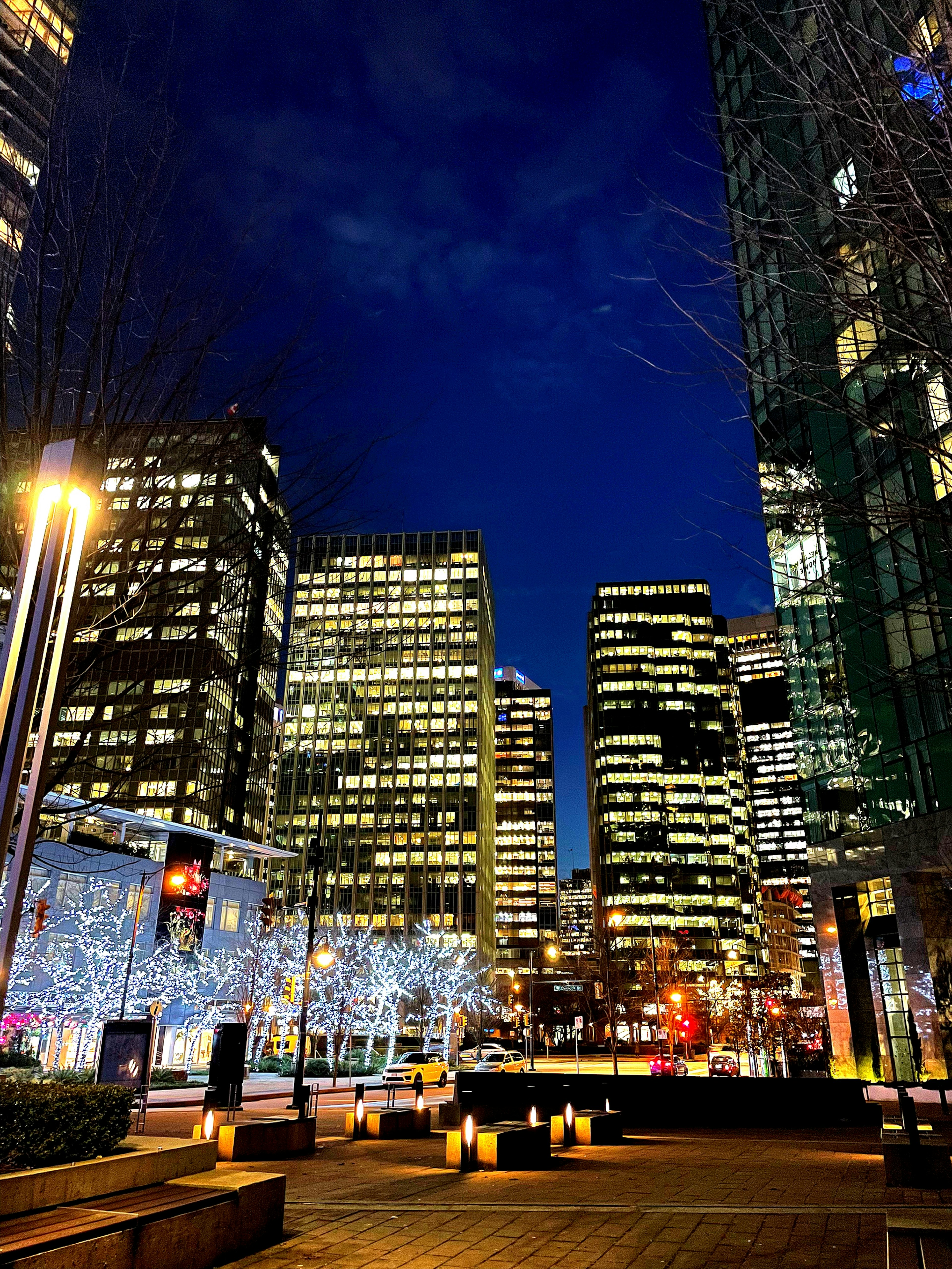 Night cityscape featuring skyscrapers and illuminated trees