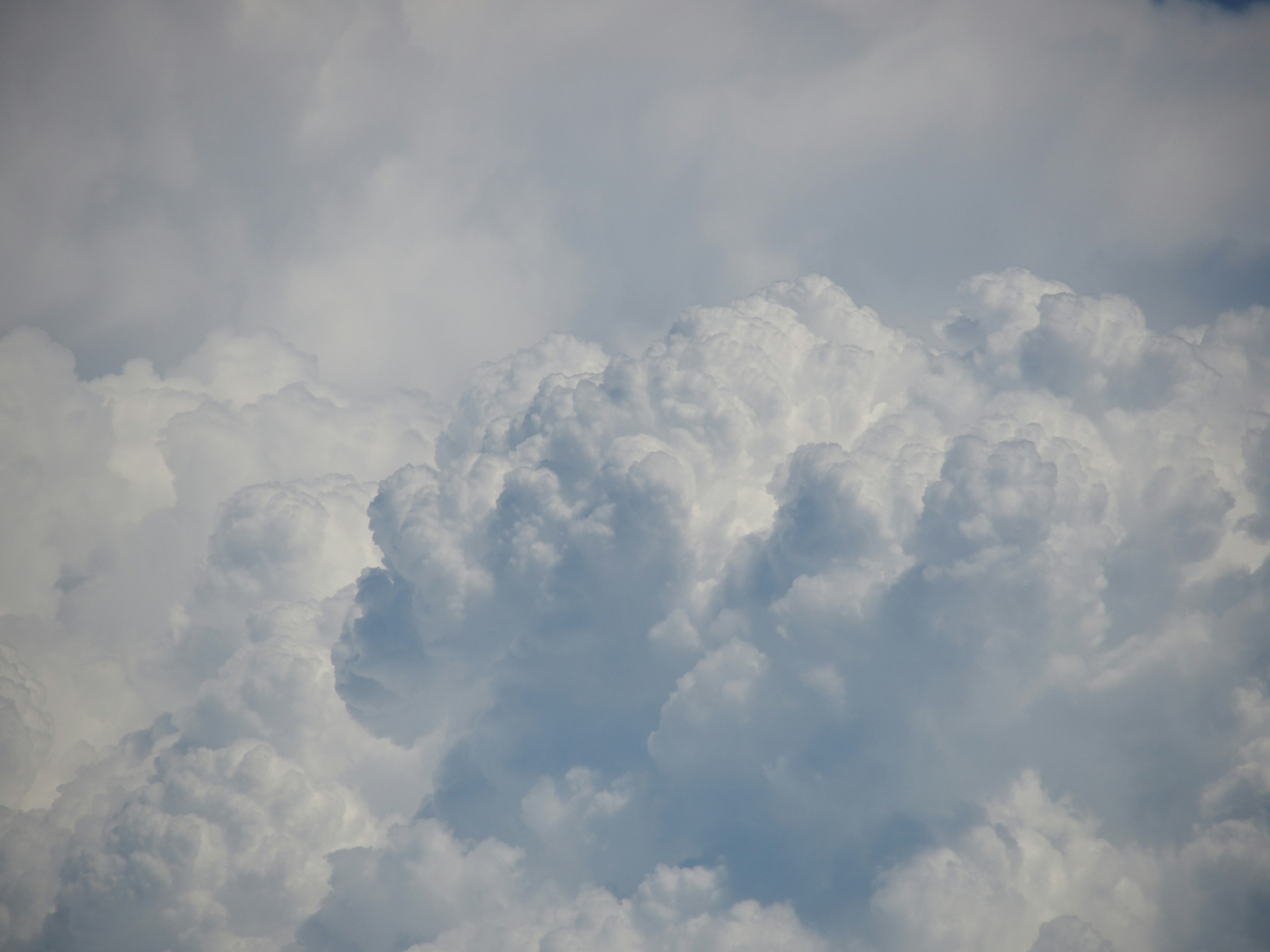 白い雲がふわふわとした形で広がる空の景色