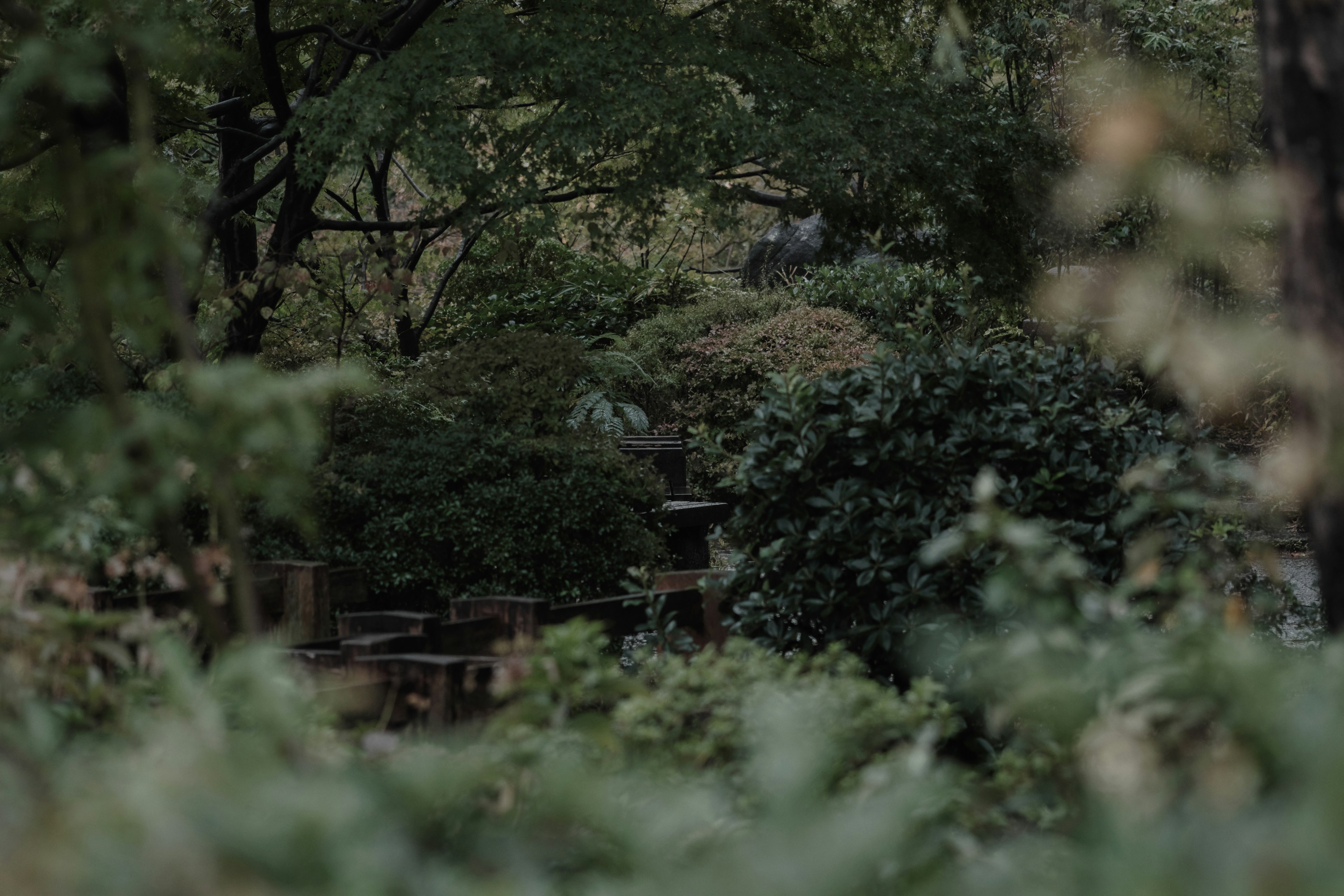 Blurred view of a lush green garden landscape