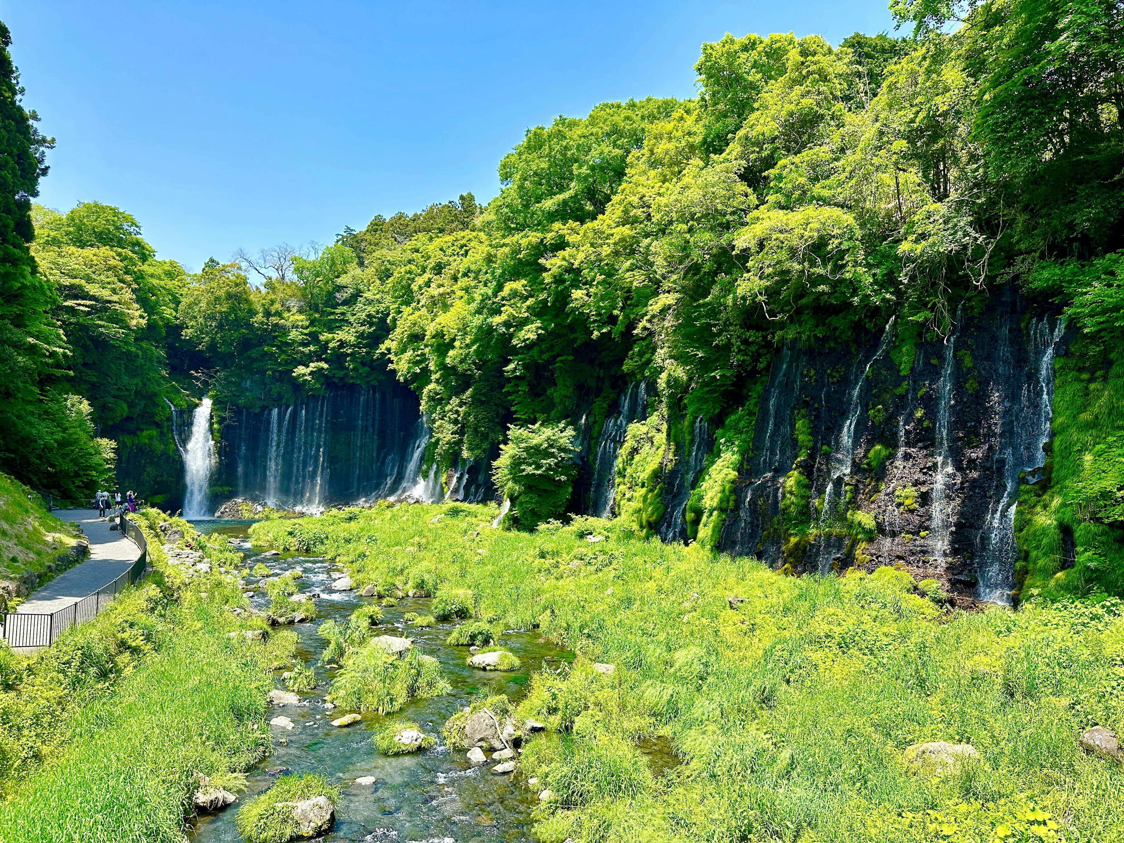 Pemandangan indah air terjun dan hutan rimbun di bawah langit biru