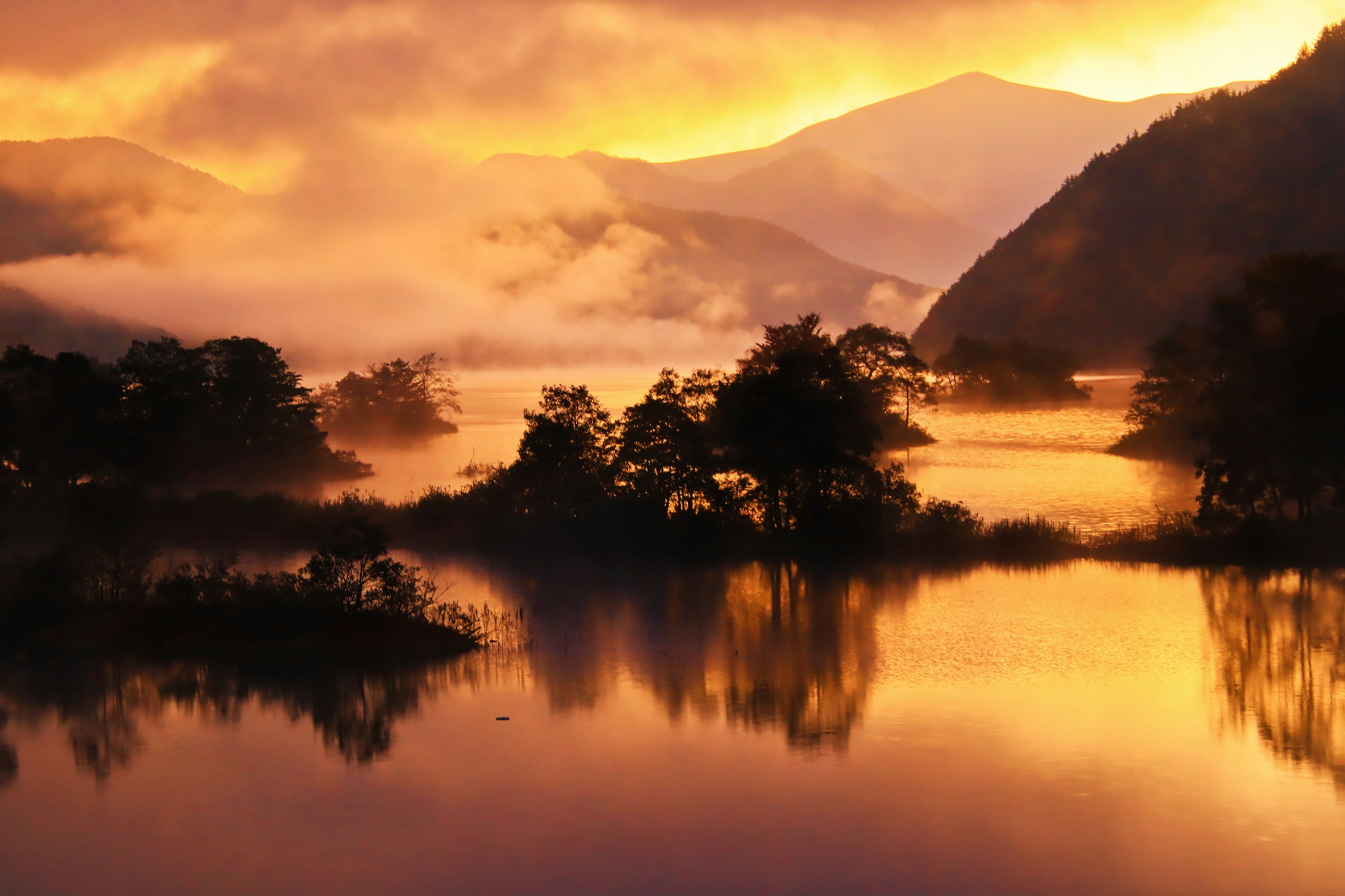 Pemandangan senja yang menakjubkan di danau tenang Siluet pohon dan pegunungan berkabut