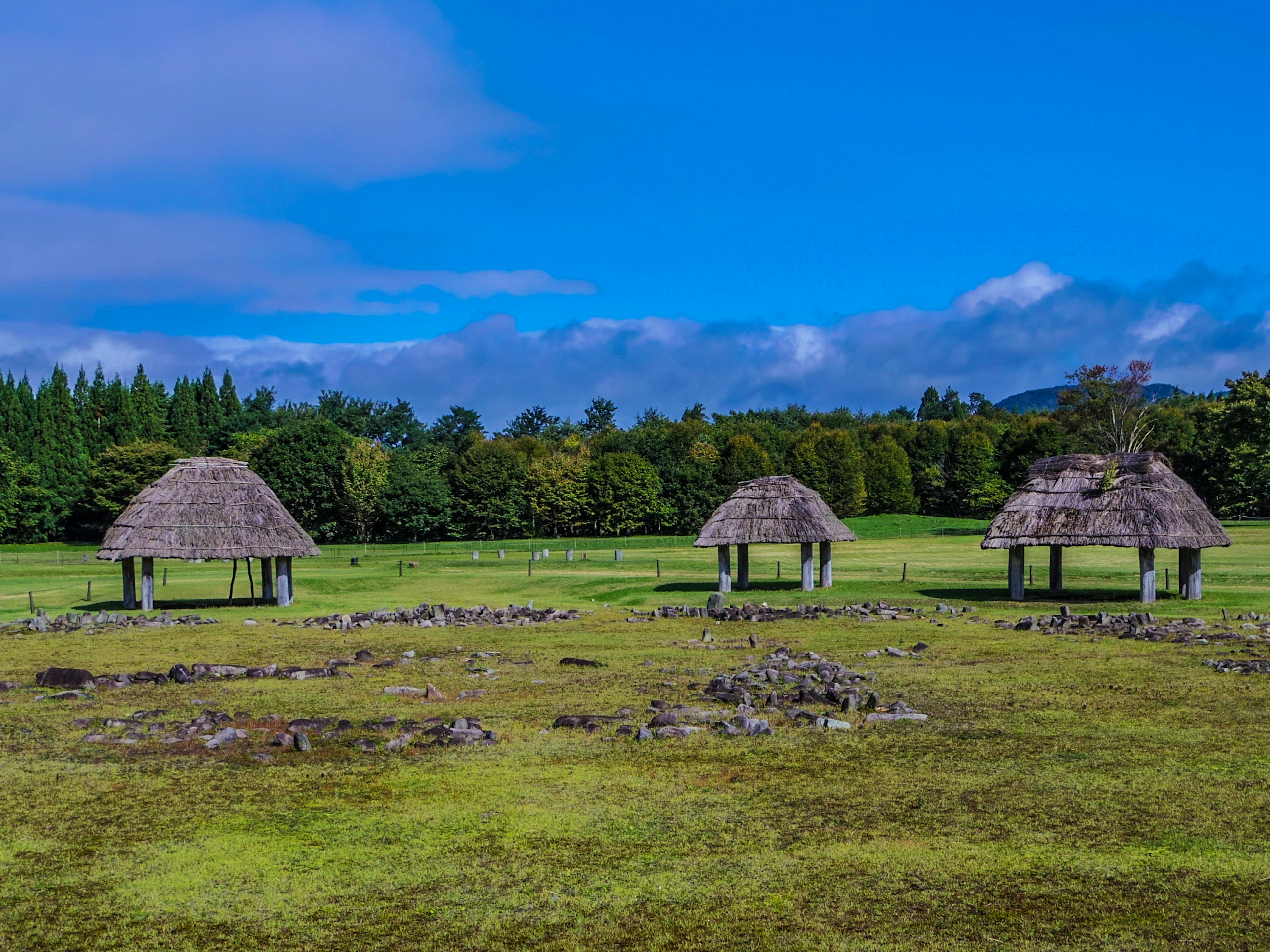 Maisons traditionnelles à toit de chaume sous un ciel bleu avec une prairie verte