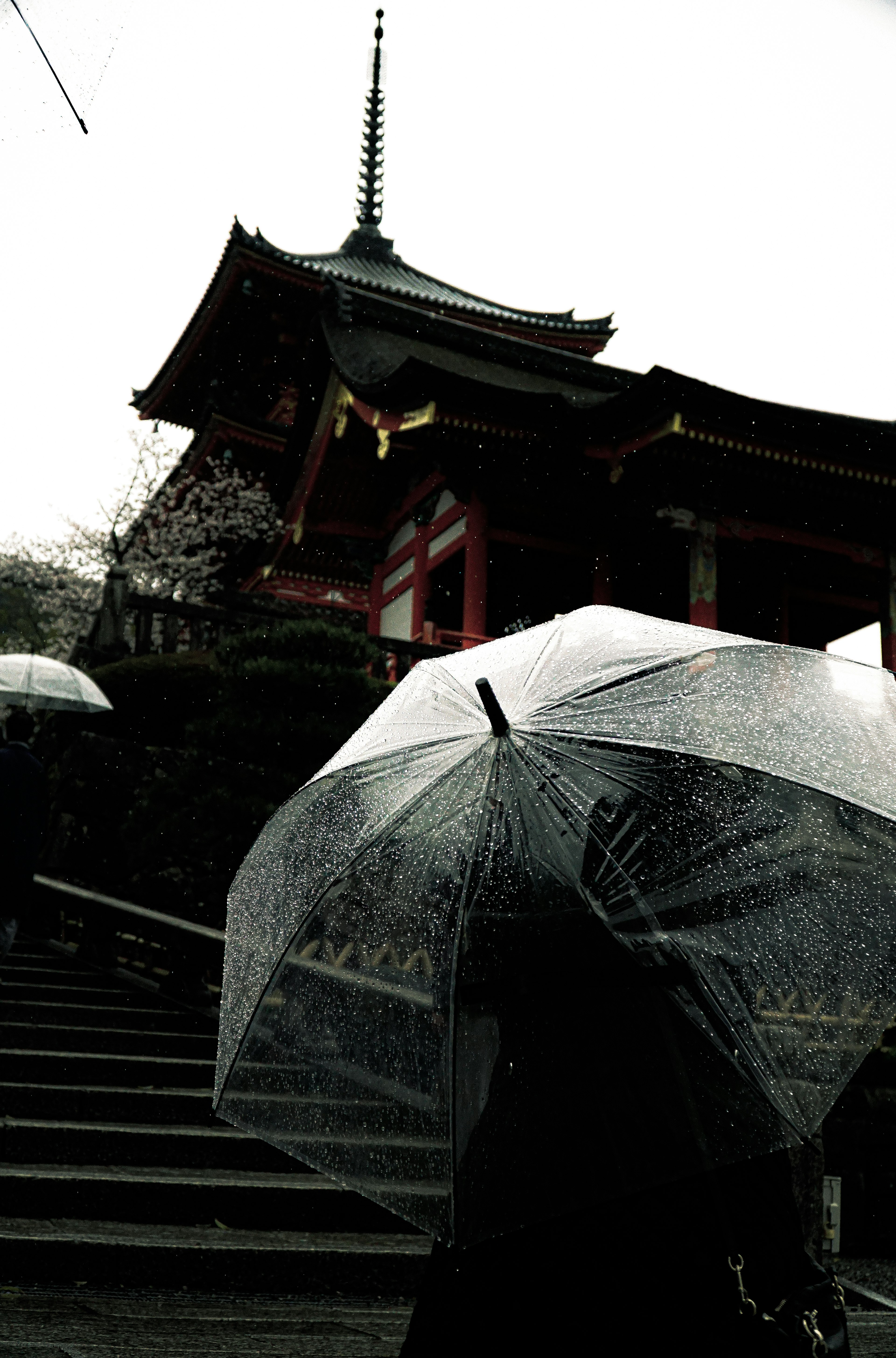 雨の中の傘を持った人と寺院の背景