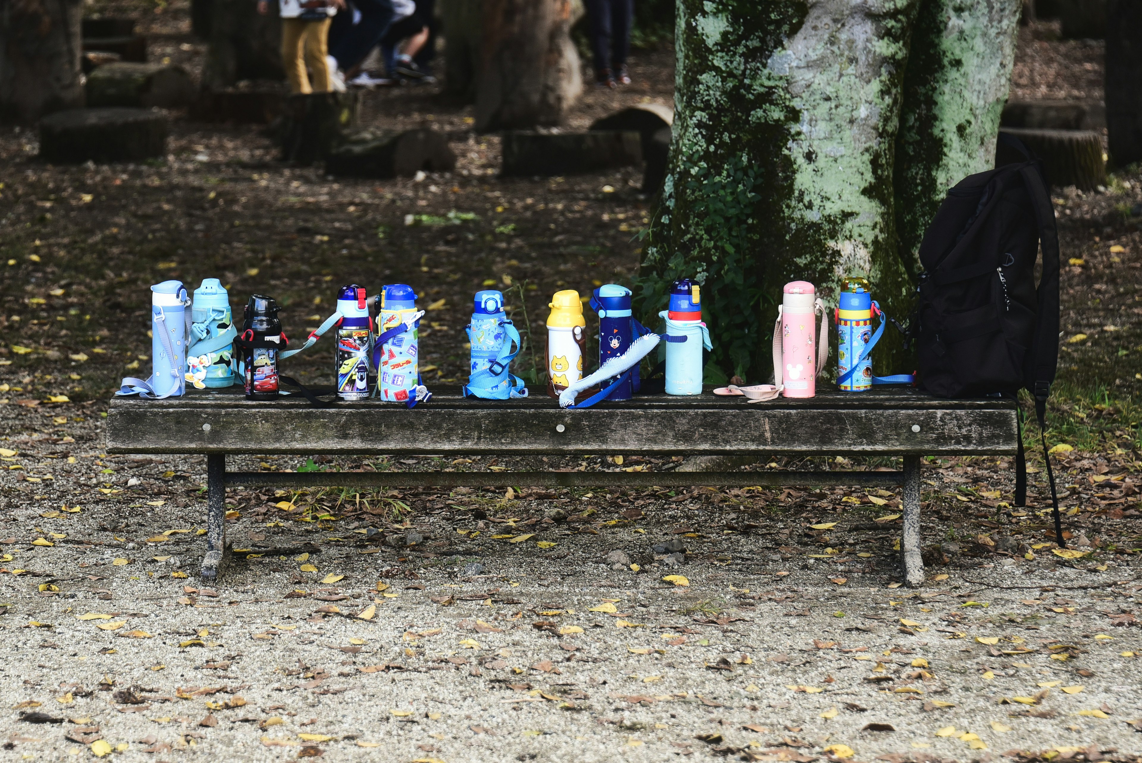 Diverse bottiglie colorate e uno zaino disposti su una panchina di legno