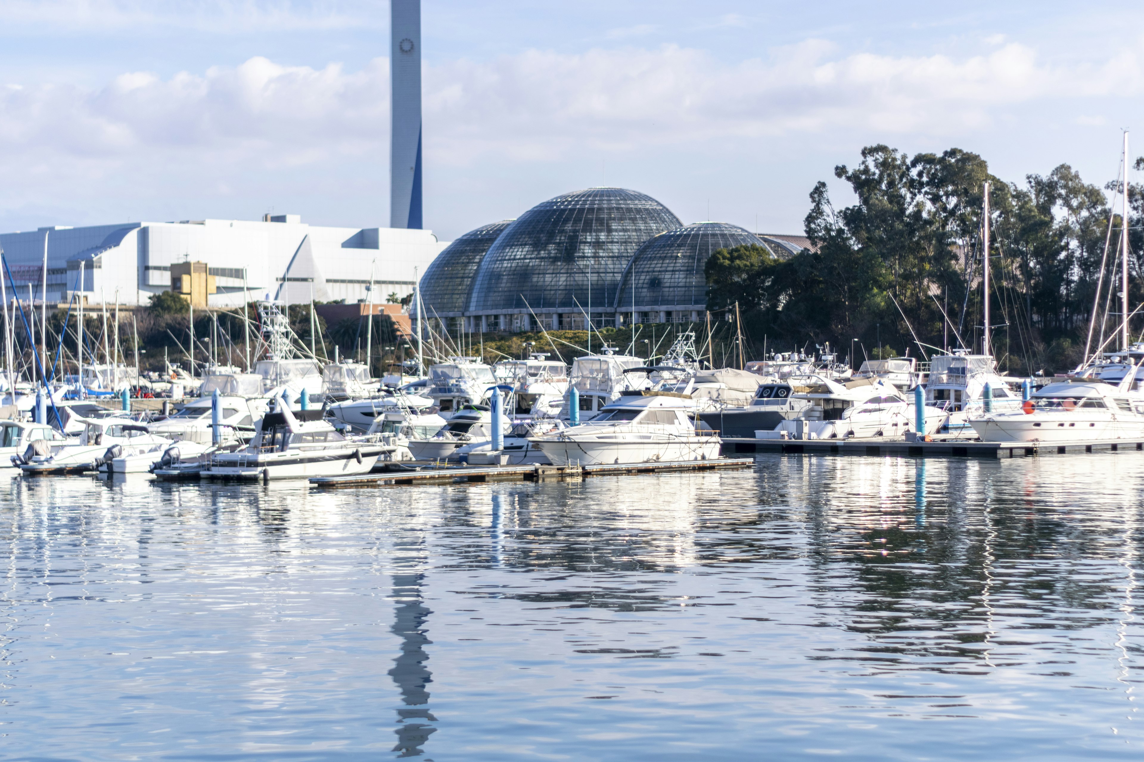 White boats docked in a marina with a modern building in the background