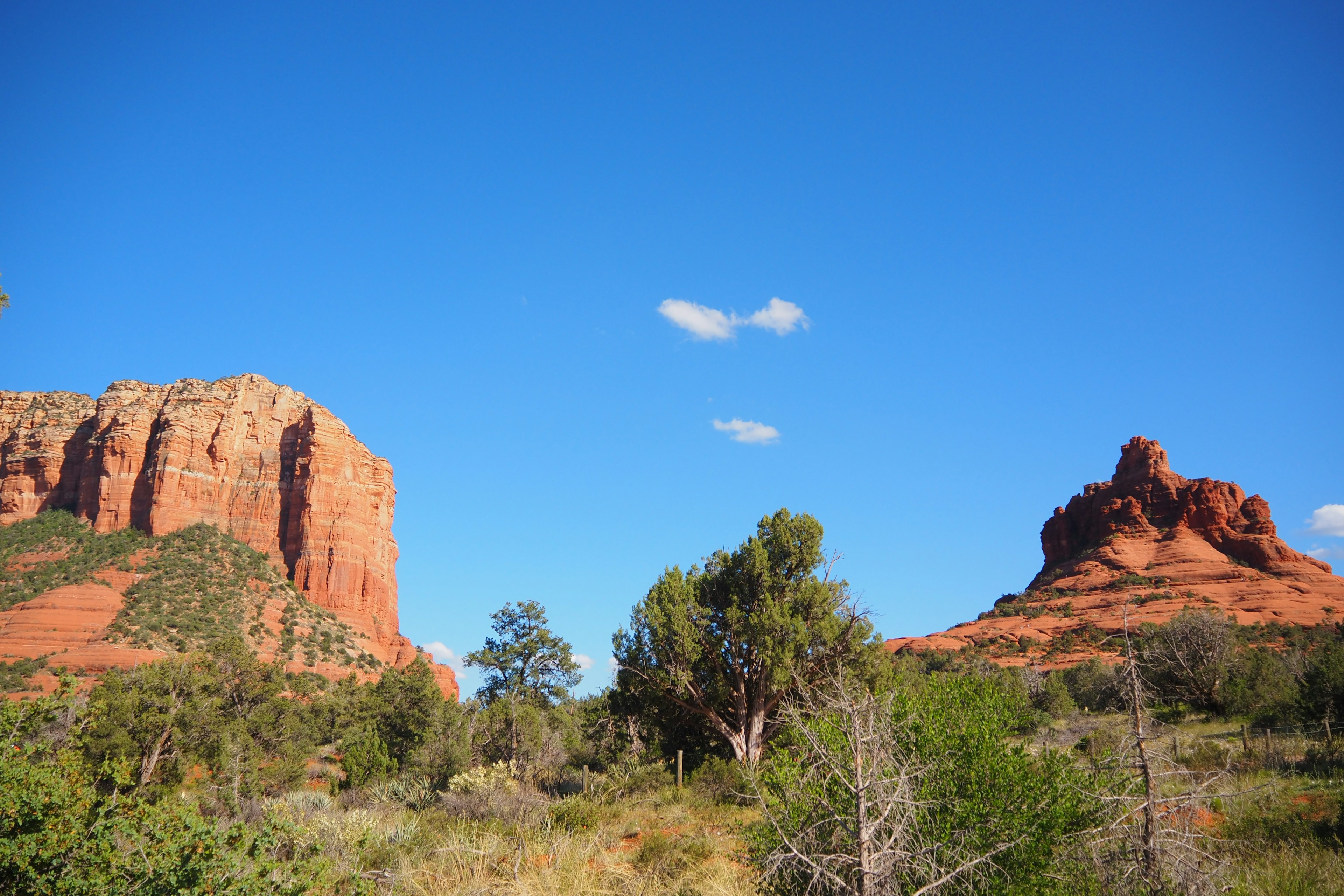 Malersicher Blick auf rote Felsformationen unter einem klaren blauen Himmel in Sedona