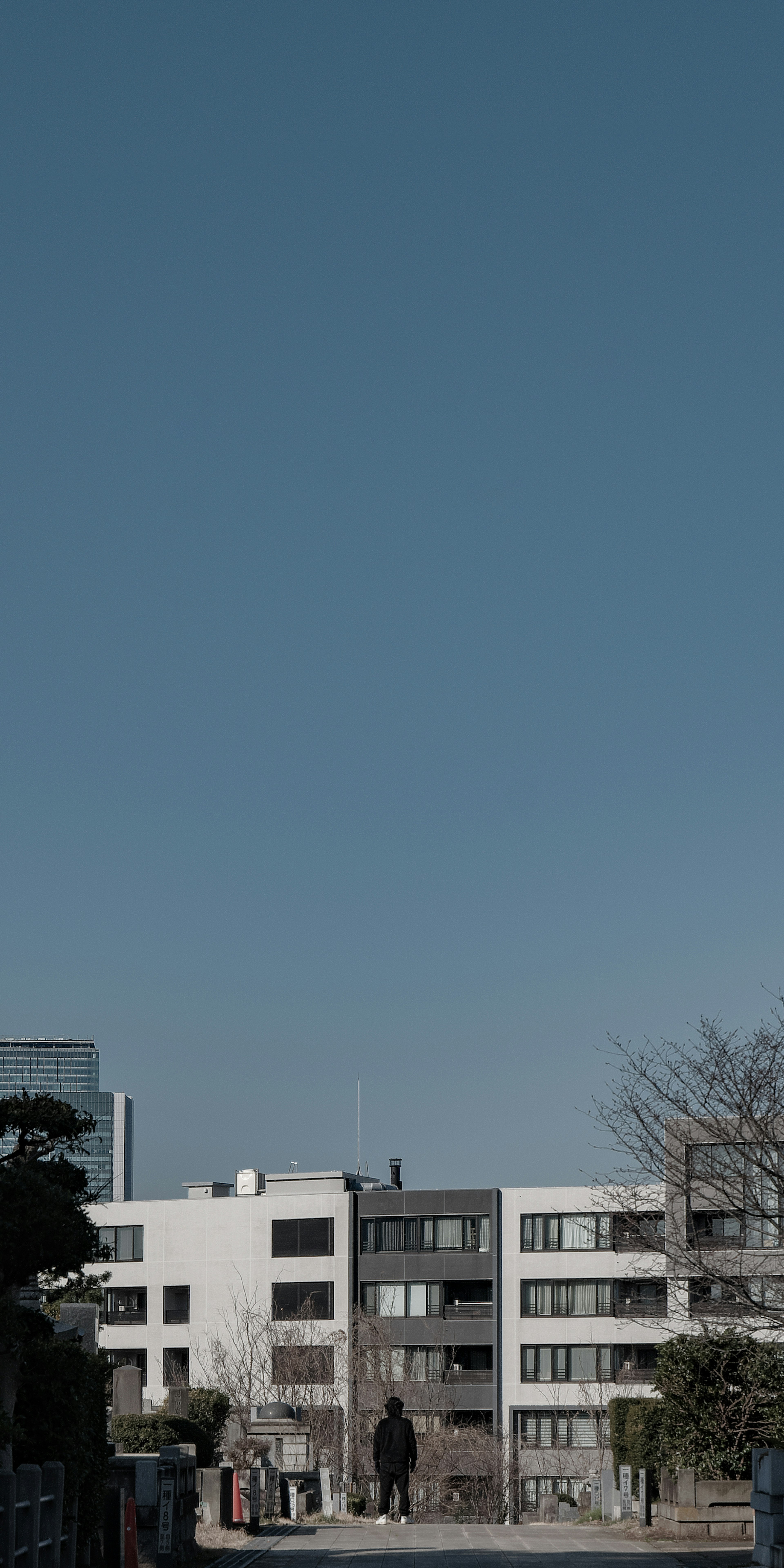 Modern buildings and trees under a clear blue sky