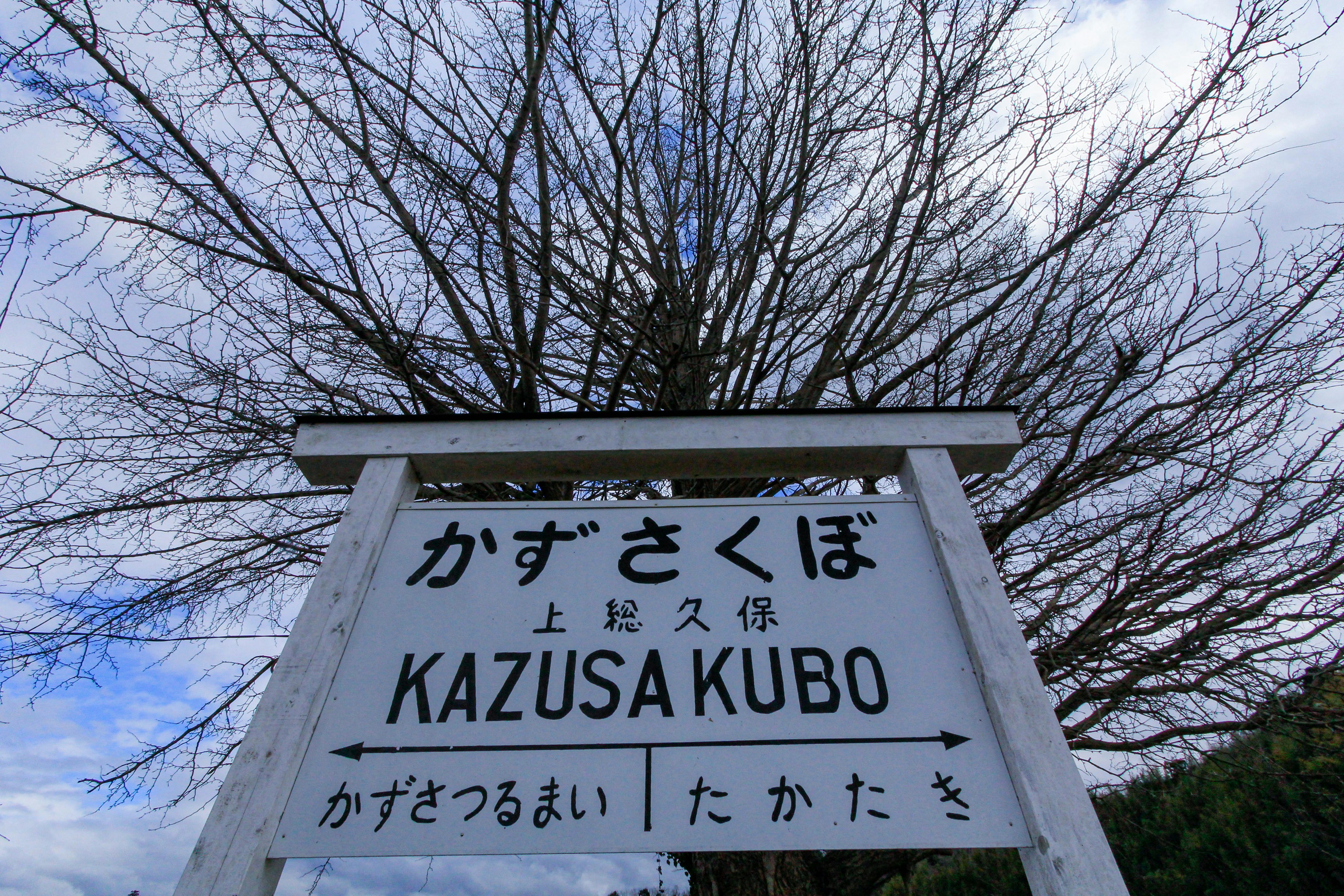 Schild für Kazusa Kubo mit einem kahlen Baum im Hintergrund