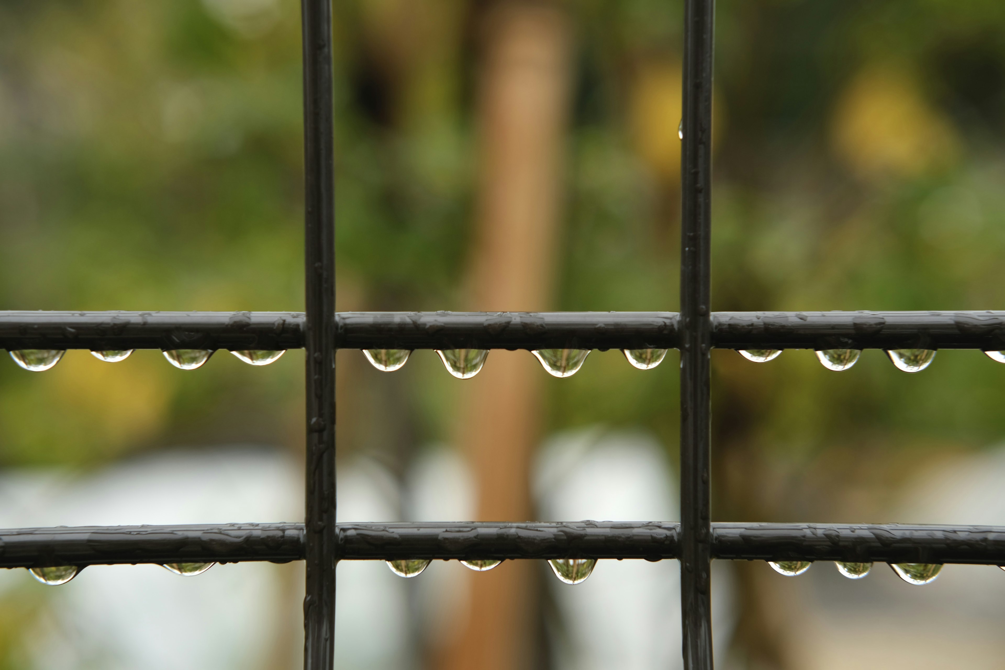 Gotas de agua en una cerca negra con un fondo verde borroso