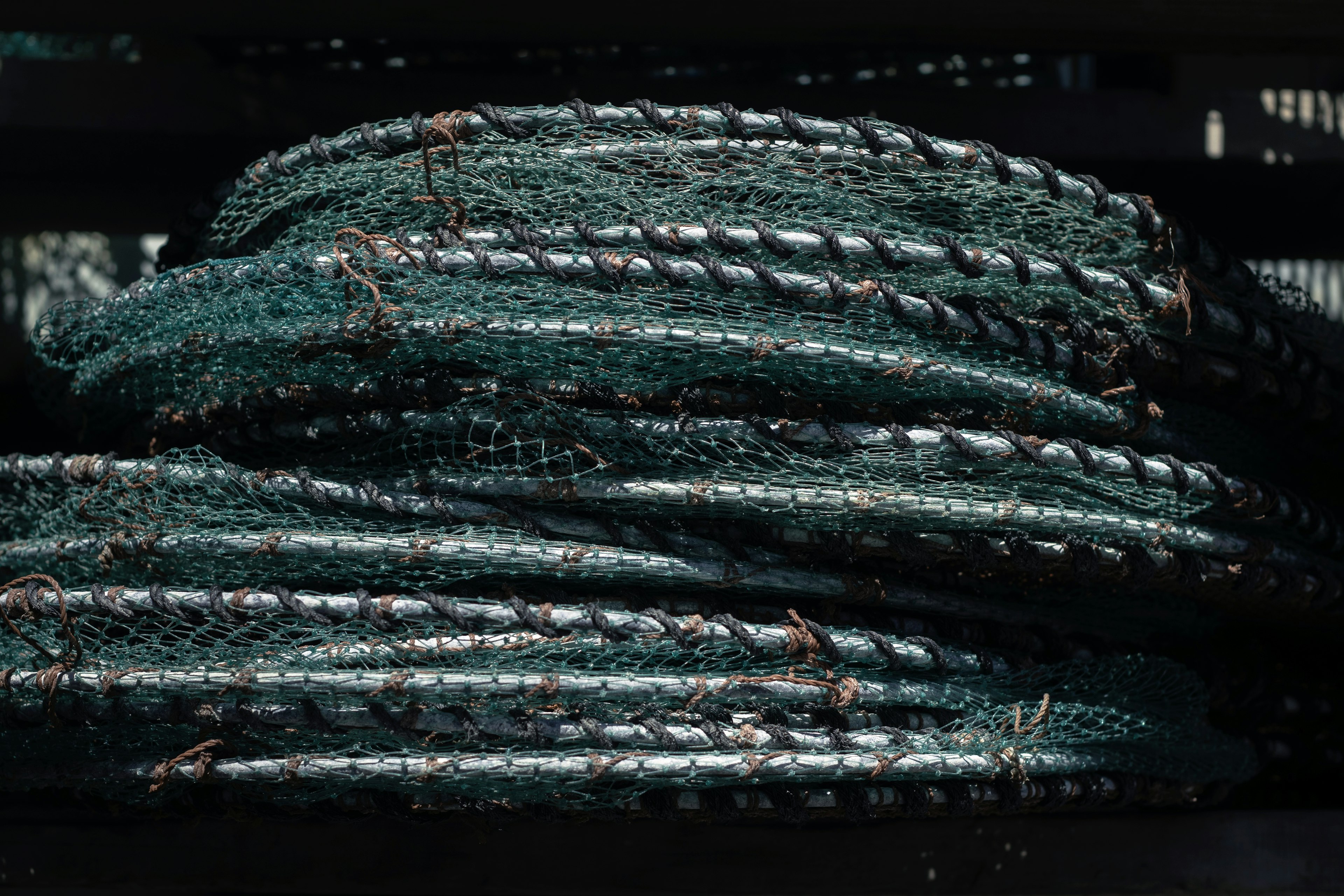 Image of stacked green ropes with visible texture