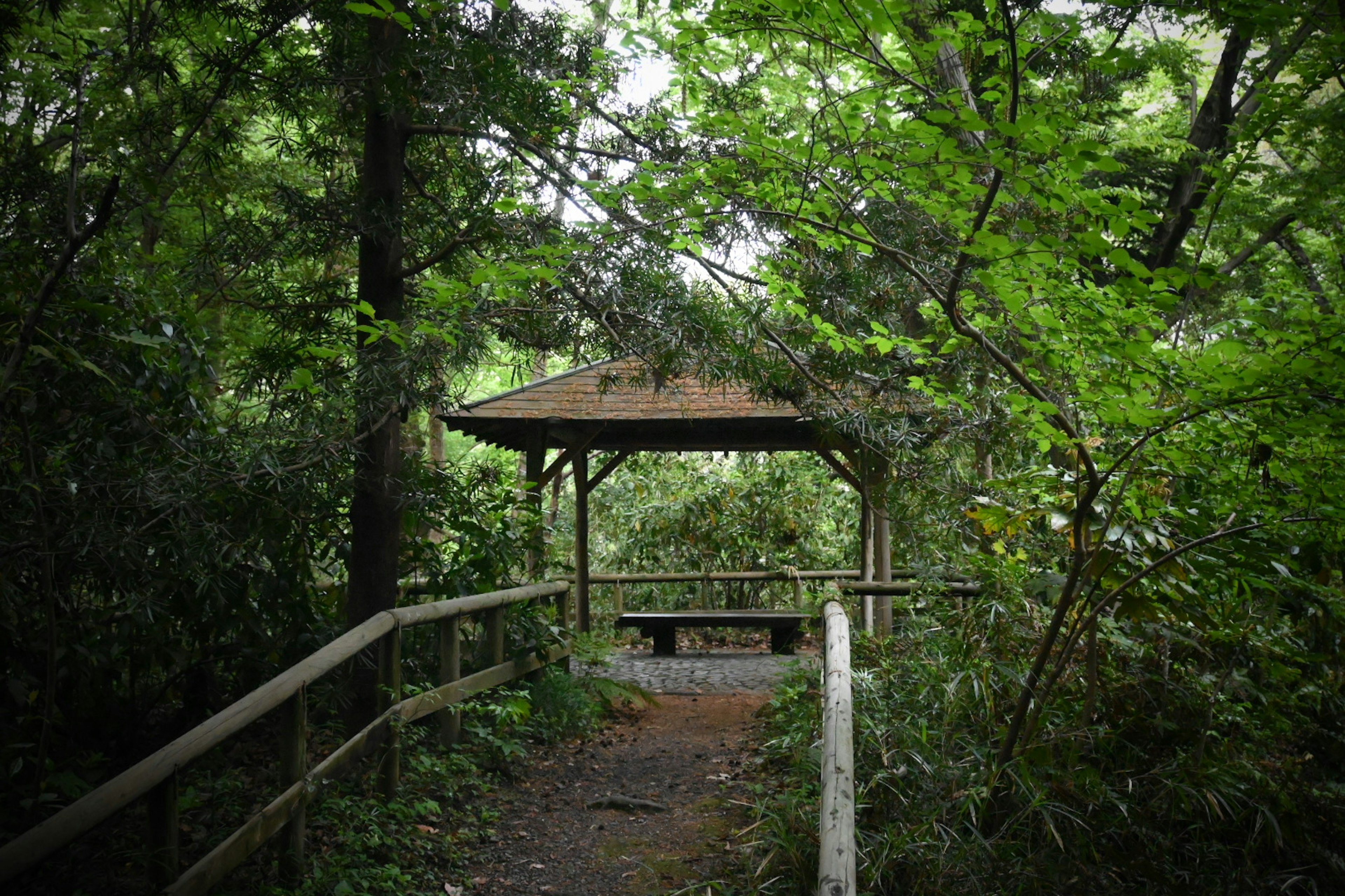 Pavillon en bois au bout d'un chemin entouré d'arbres verdoyants