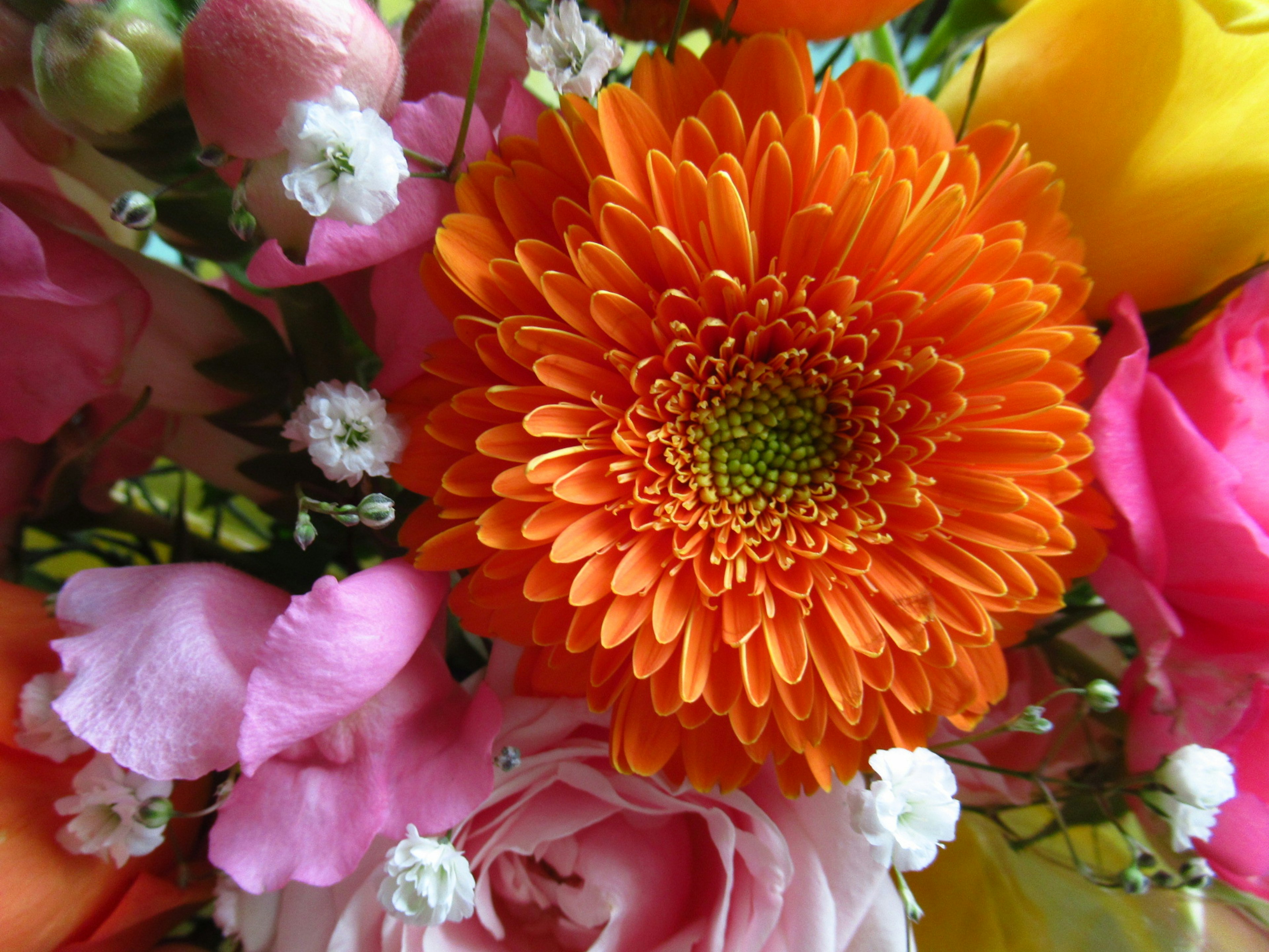 Primo piano di un bouquet colorato con una vivace margherita arancione al centro