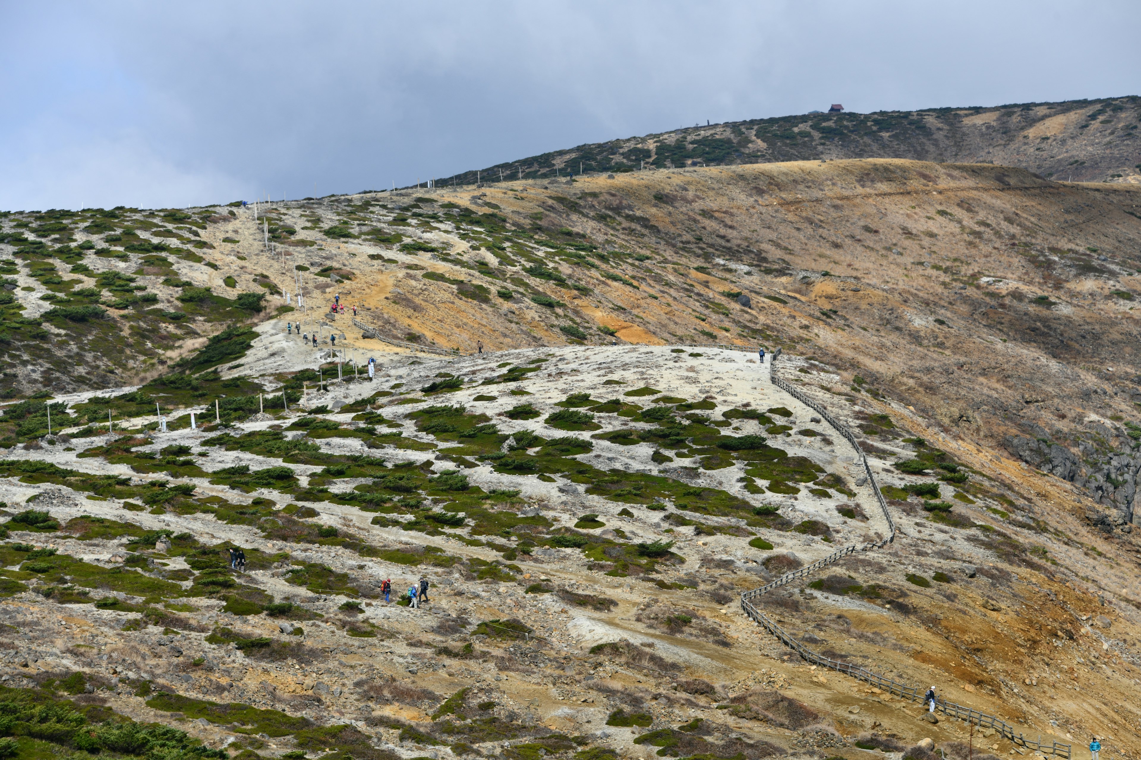 Dry slope with green vegetation and rocky terrain