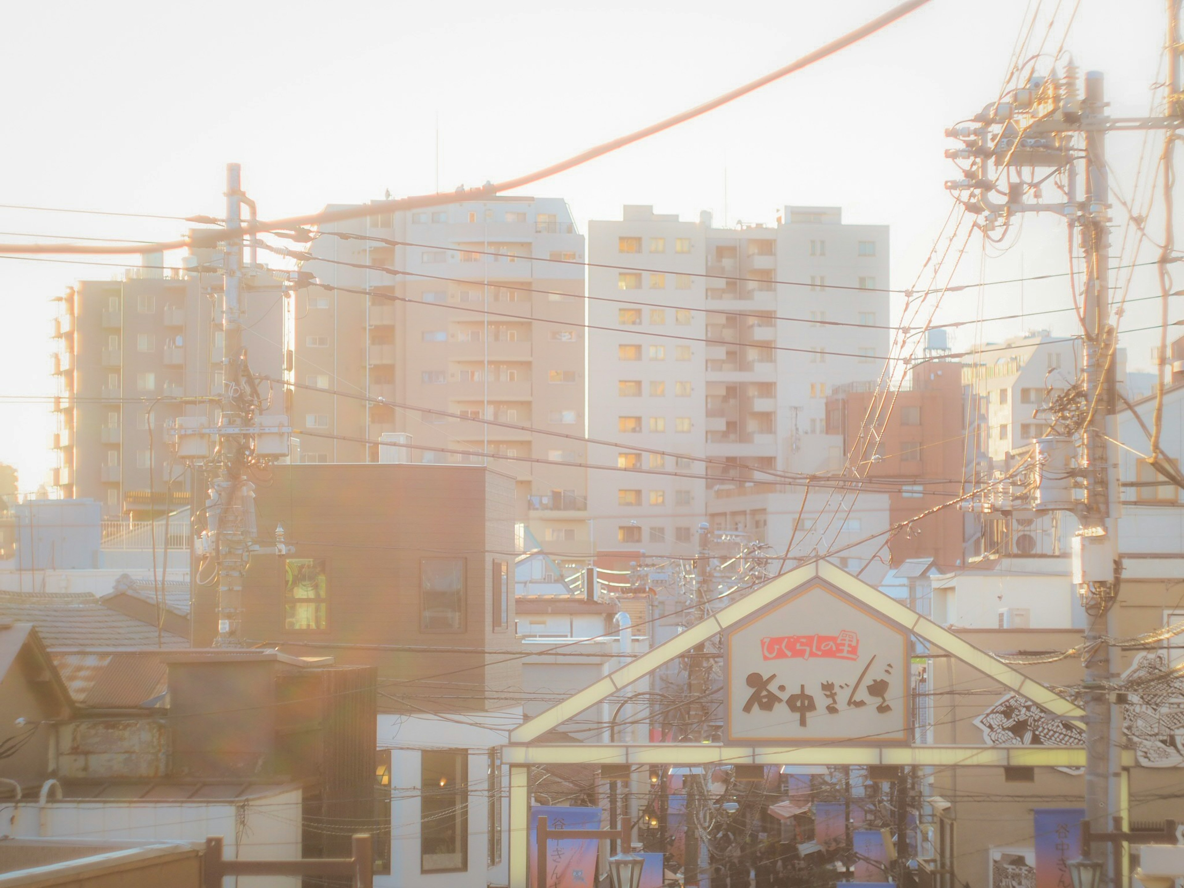 淡い光の中に見える都市の風景と建物