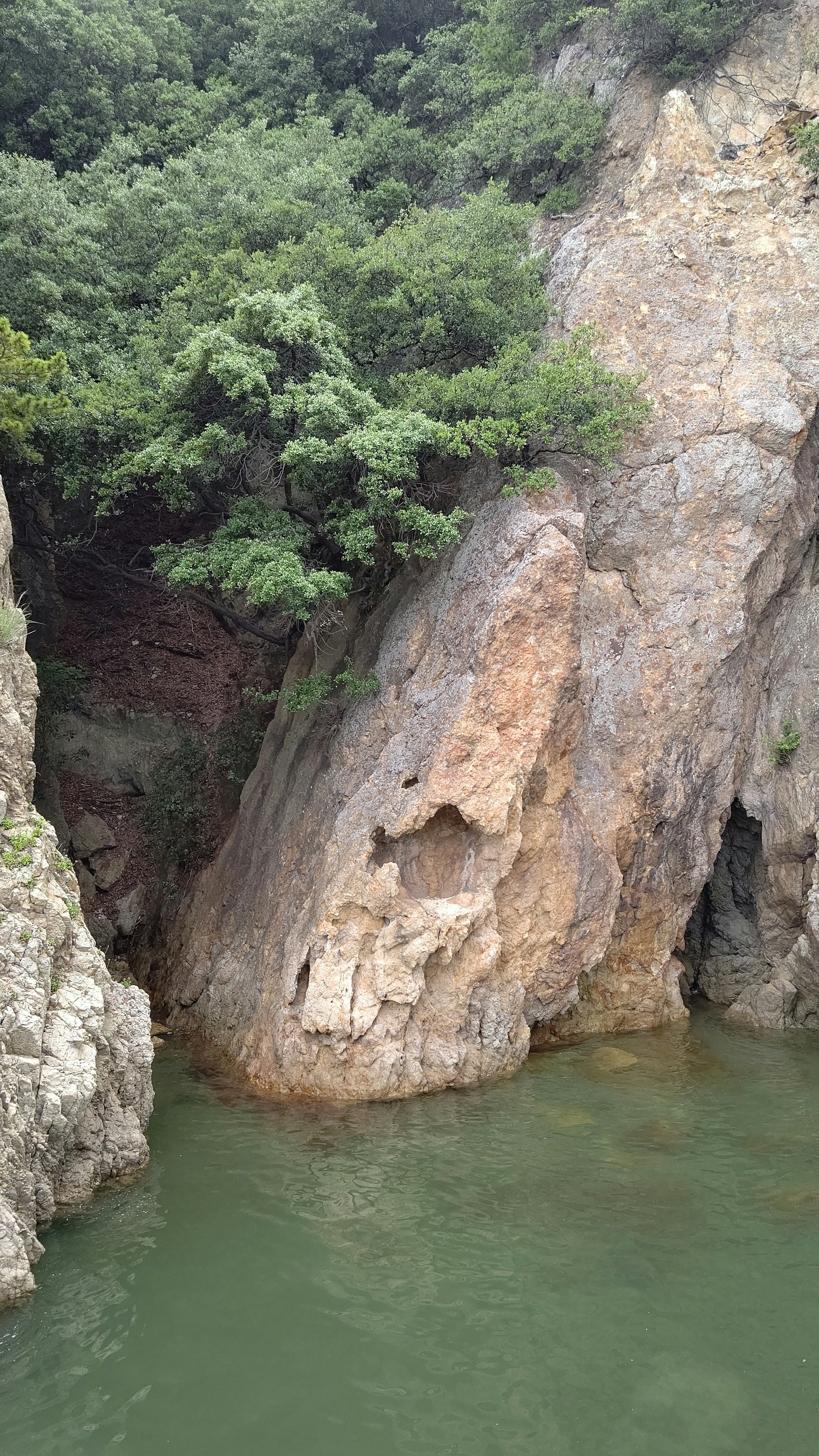 Scenic view of a rocky cliff surrounded by greenery and calm water