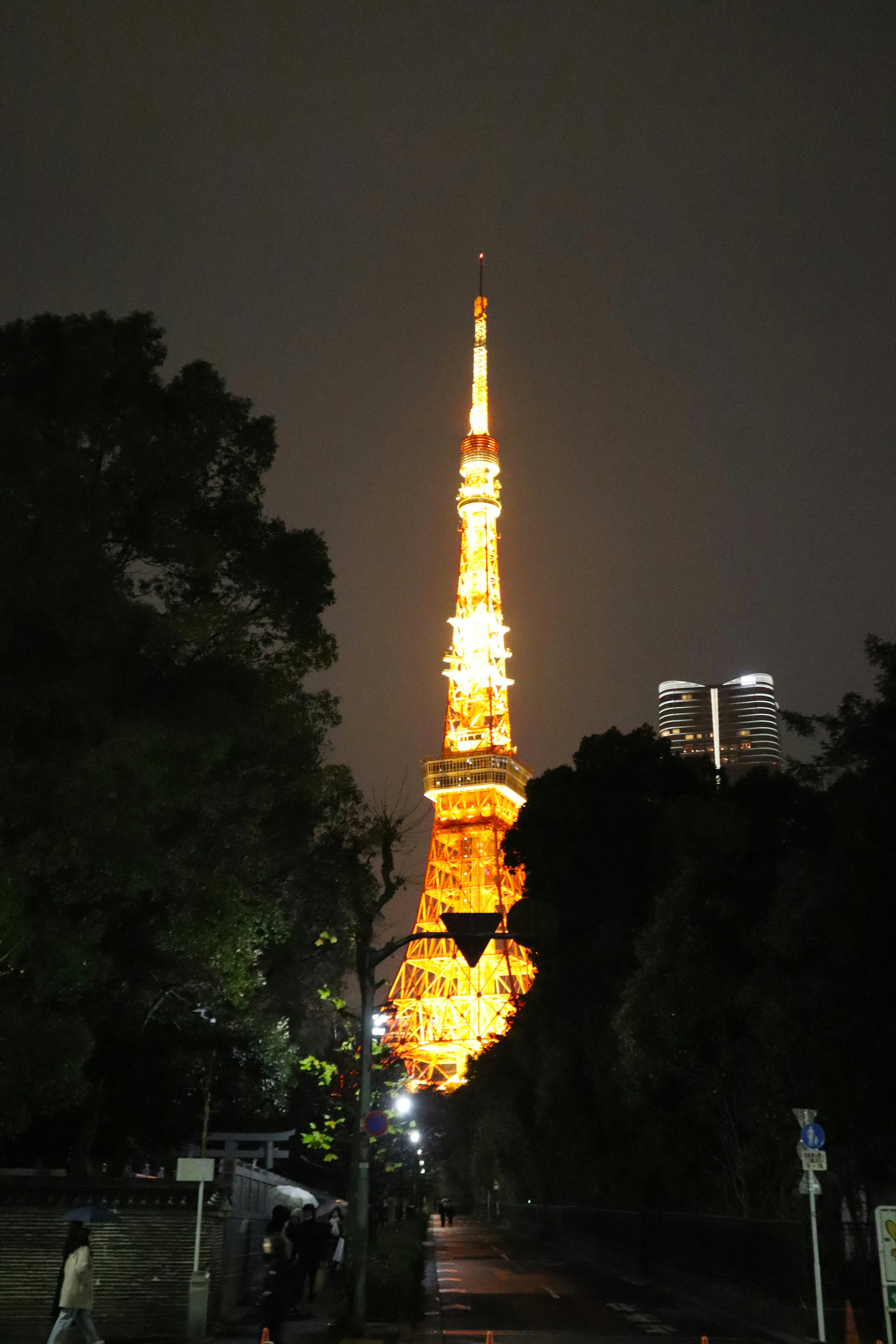 東京タワーが夜にライトアップされている写真周囲は木々に囲まれている