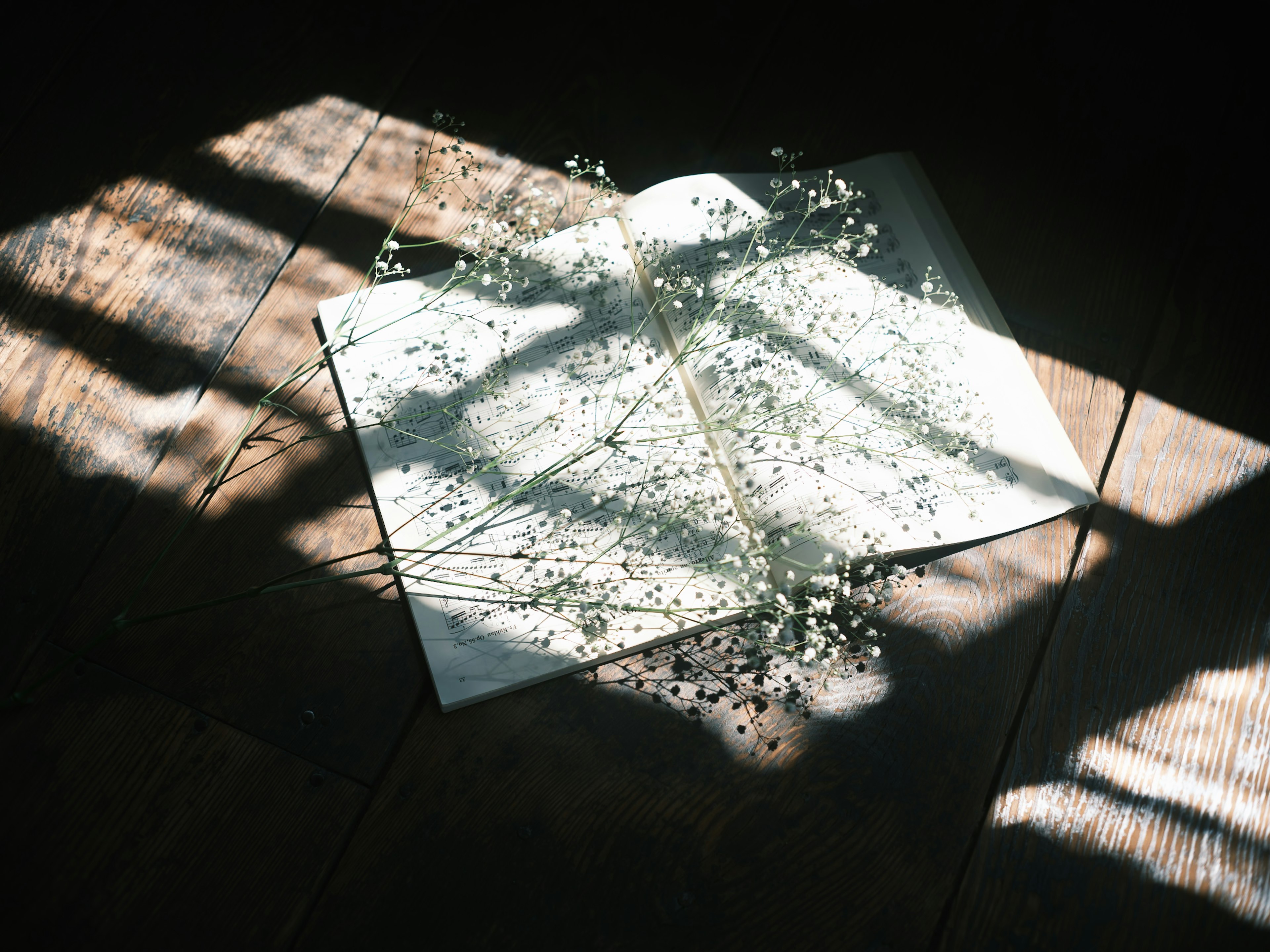 Eine weiße Seite auf dem Boden, beleuchtet von Sonnenlicht, mit verstreuten kleinen Blumen