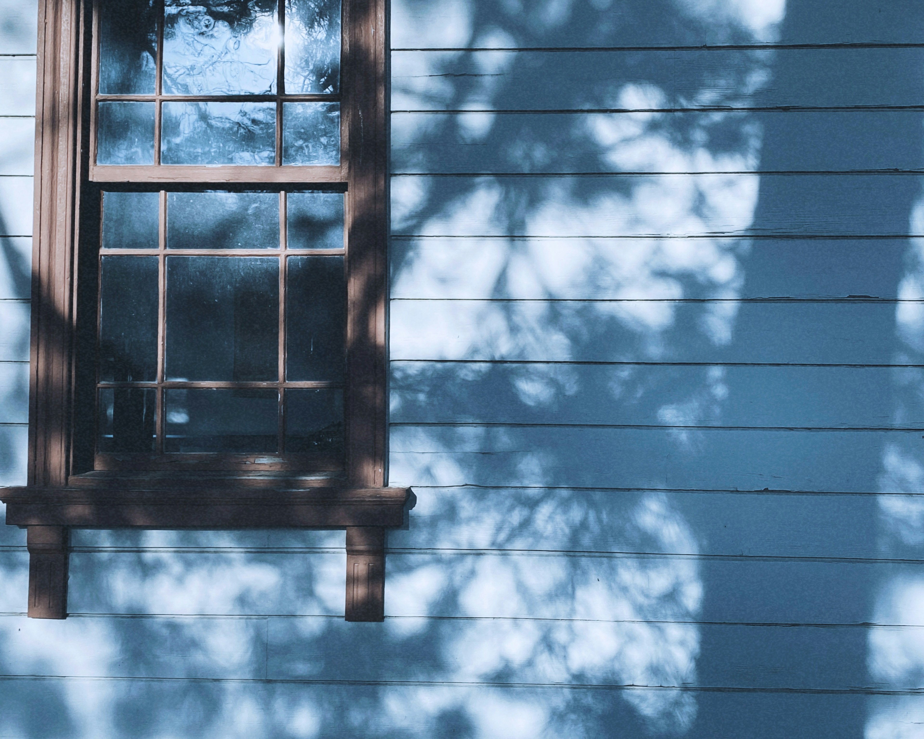 Un muro blu con l'ombra di un albero e una finestra