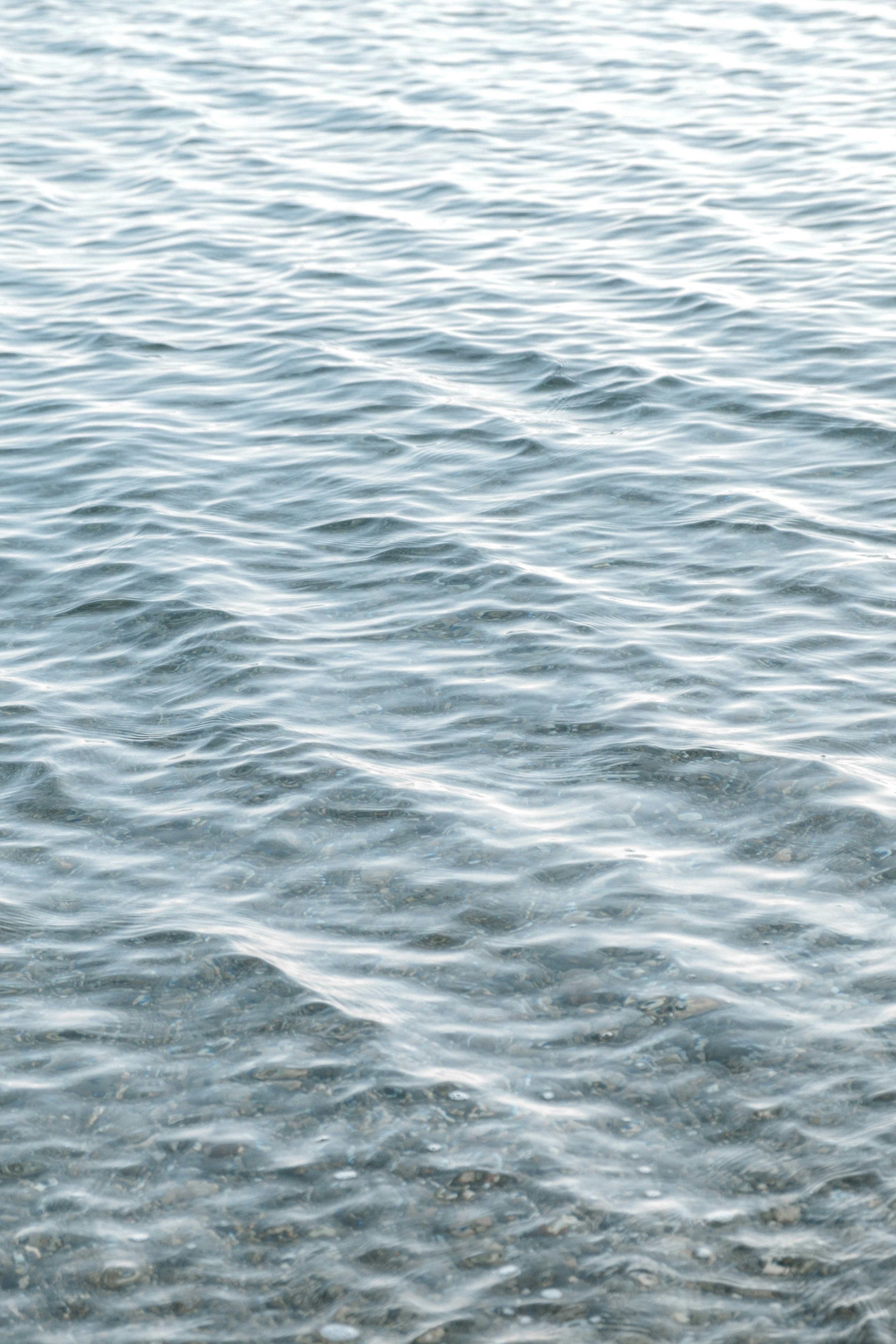 Surface d'eau calme avec des ondulations douces dans un corps d'eau clair