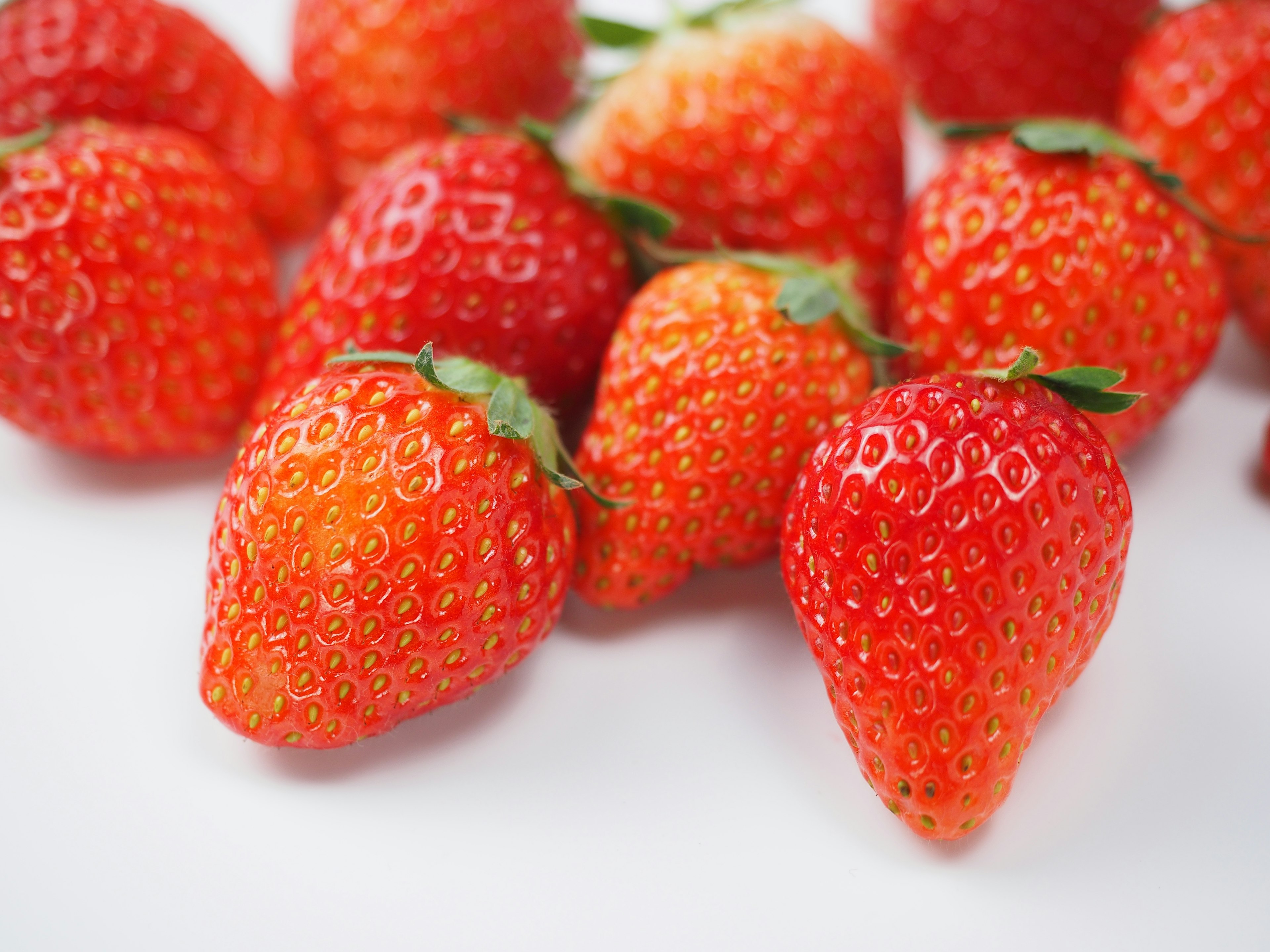 Fraises rouges fraîches disposées sur un fond blanc