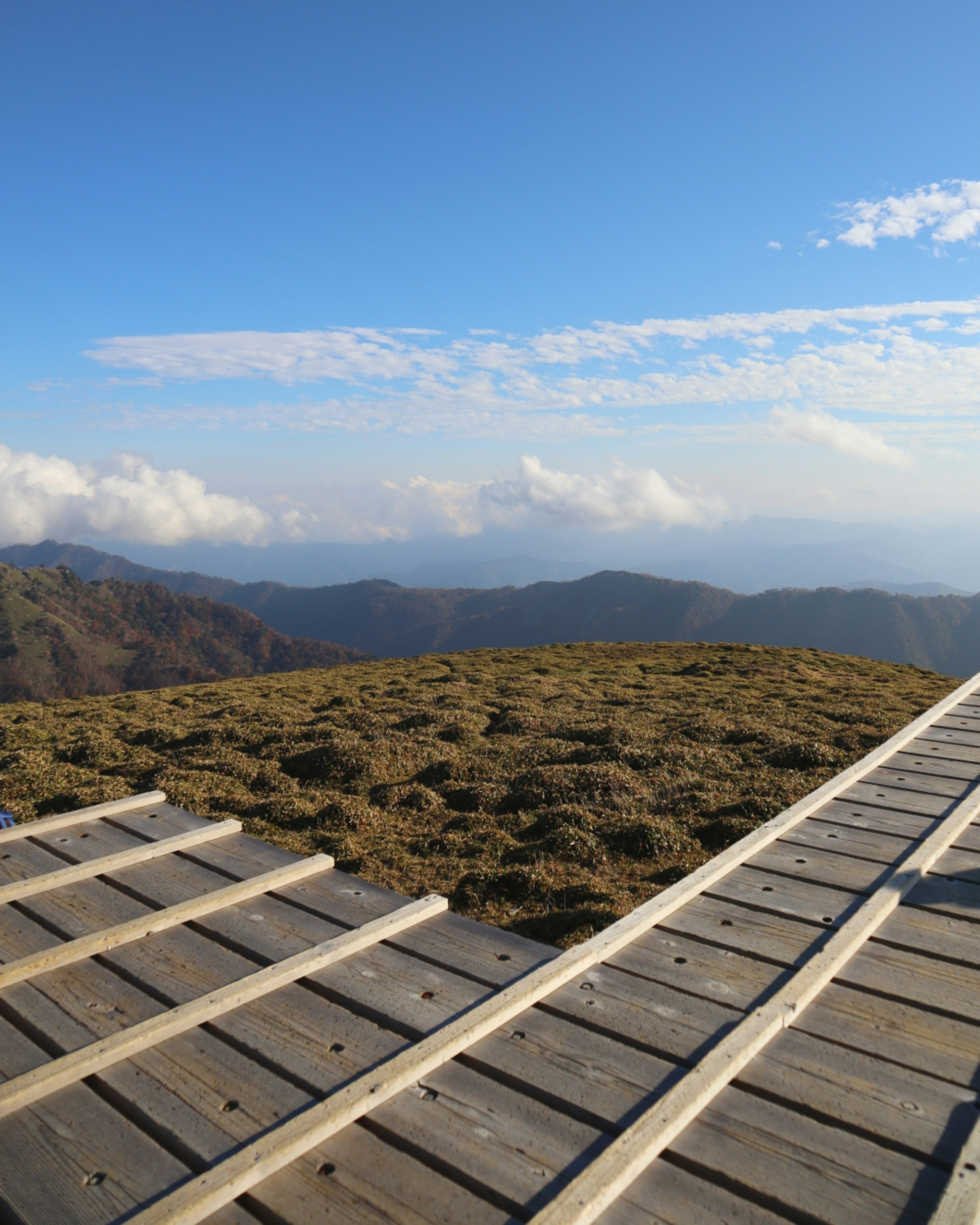 Bergwiese mit blauem Himmel Holzweg, der in die Landschaft führt