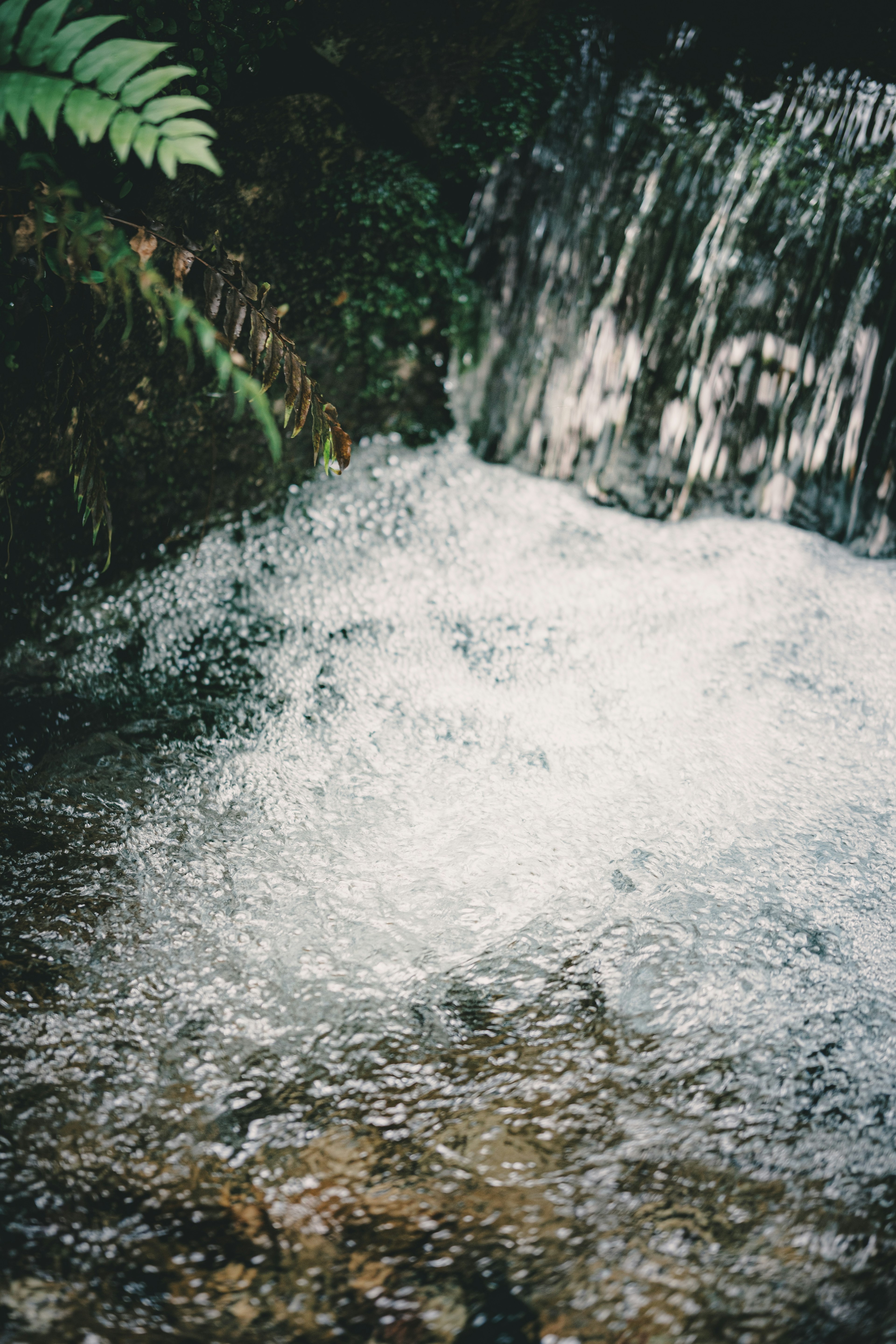 A small waterfall flowing into a clear pool surrounded by lush greenery