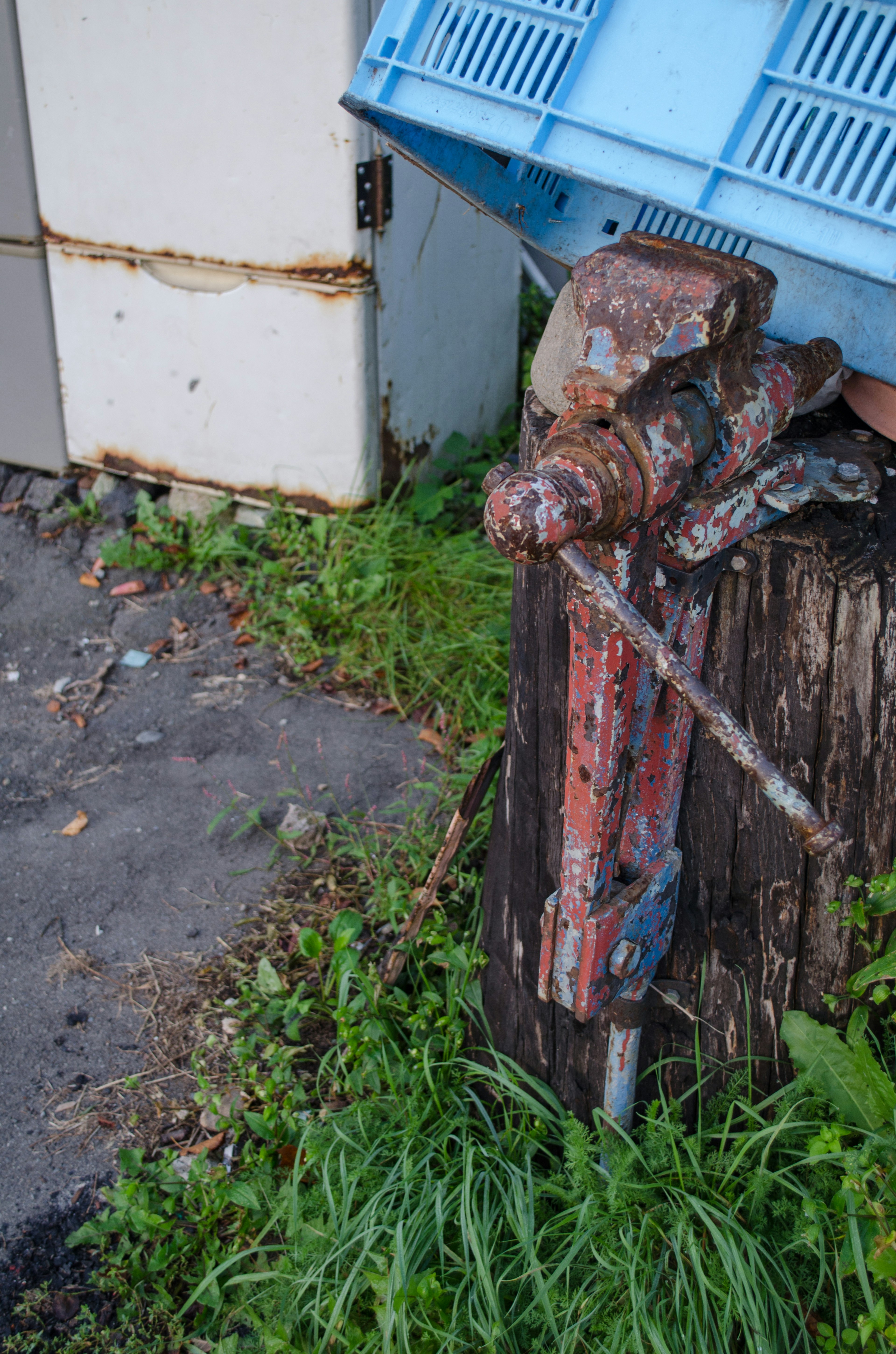 An old clamp tool resting on a decayed wooden stump with grass