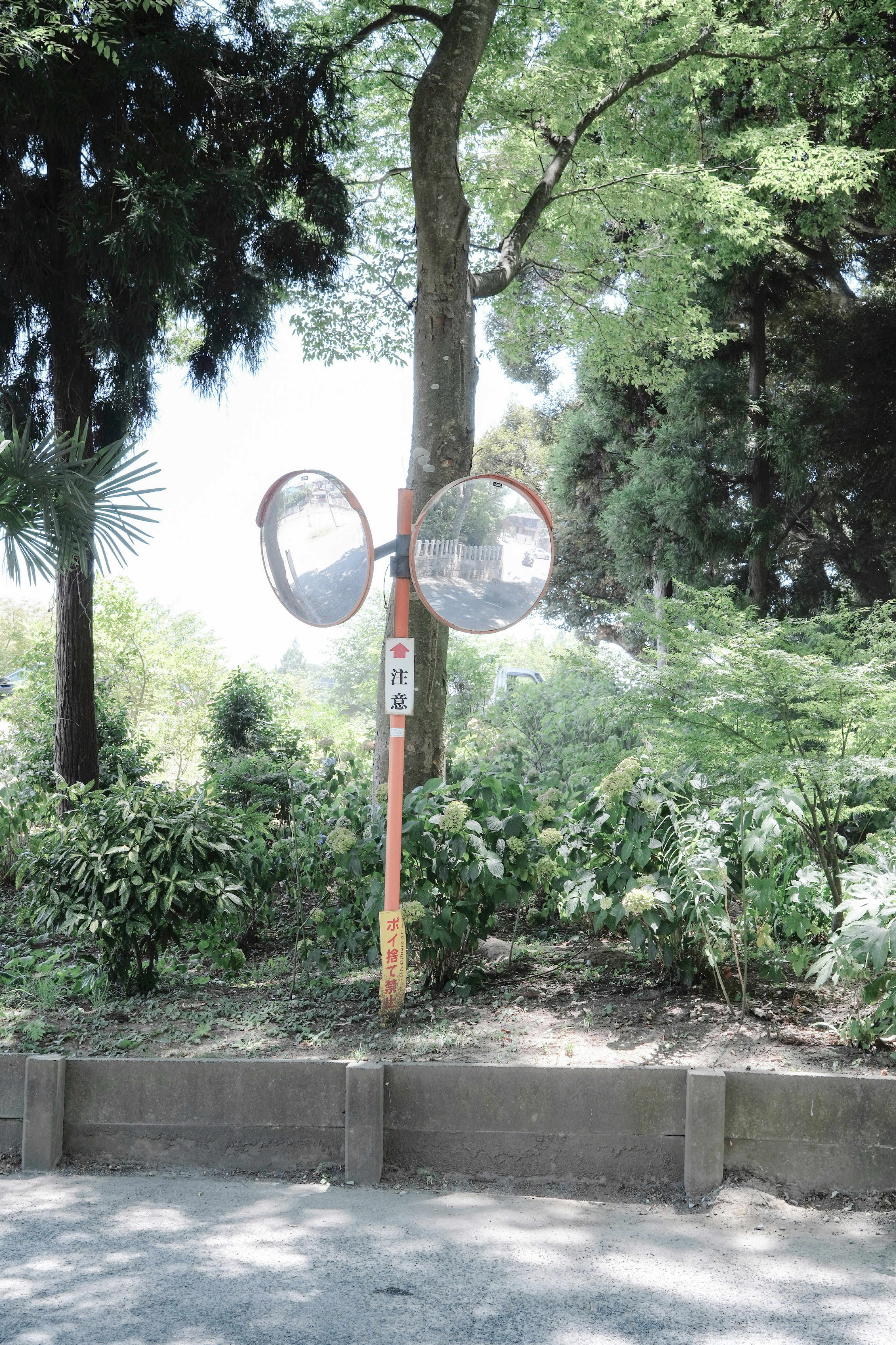 Une structure unique avec deux miroirs dans un parc