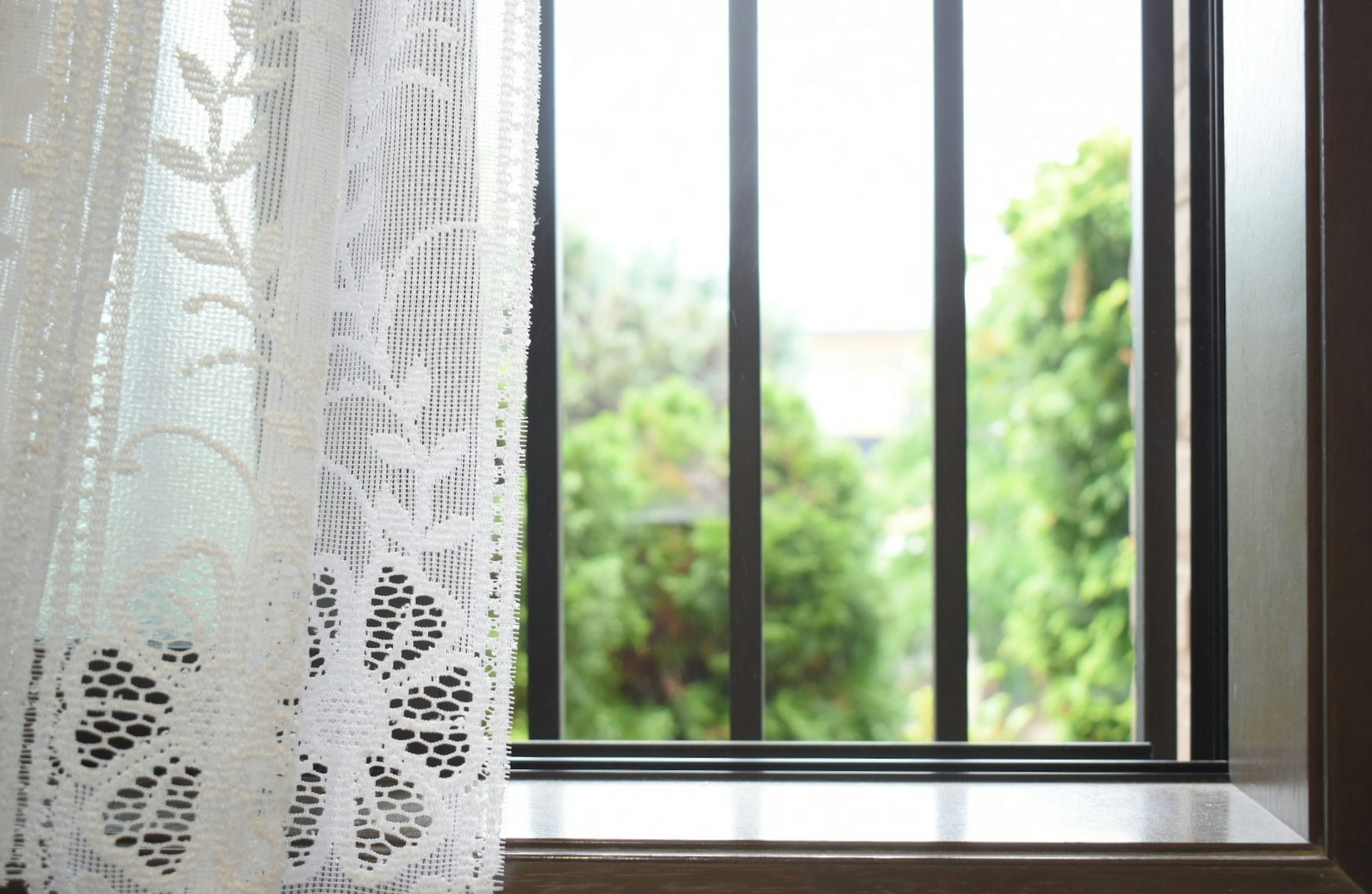 Close-up of a window with white lace curtain and black bars overlooking greenery