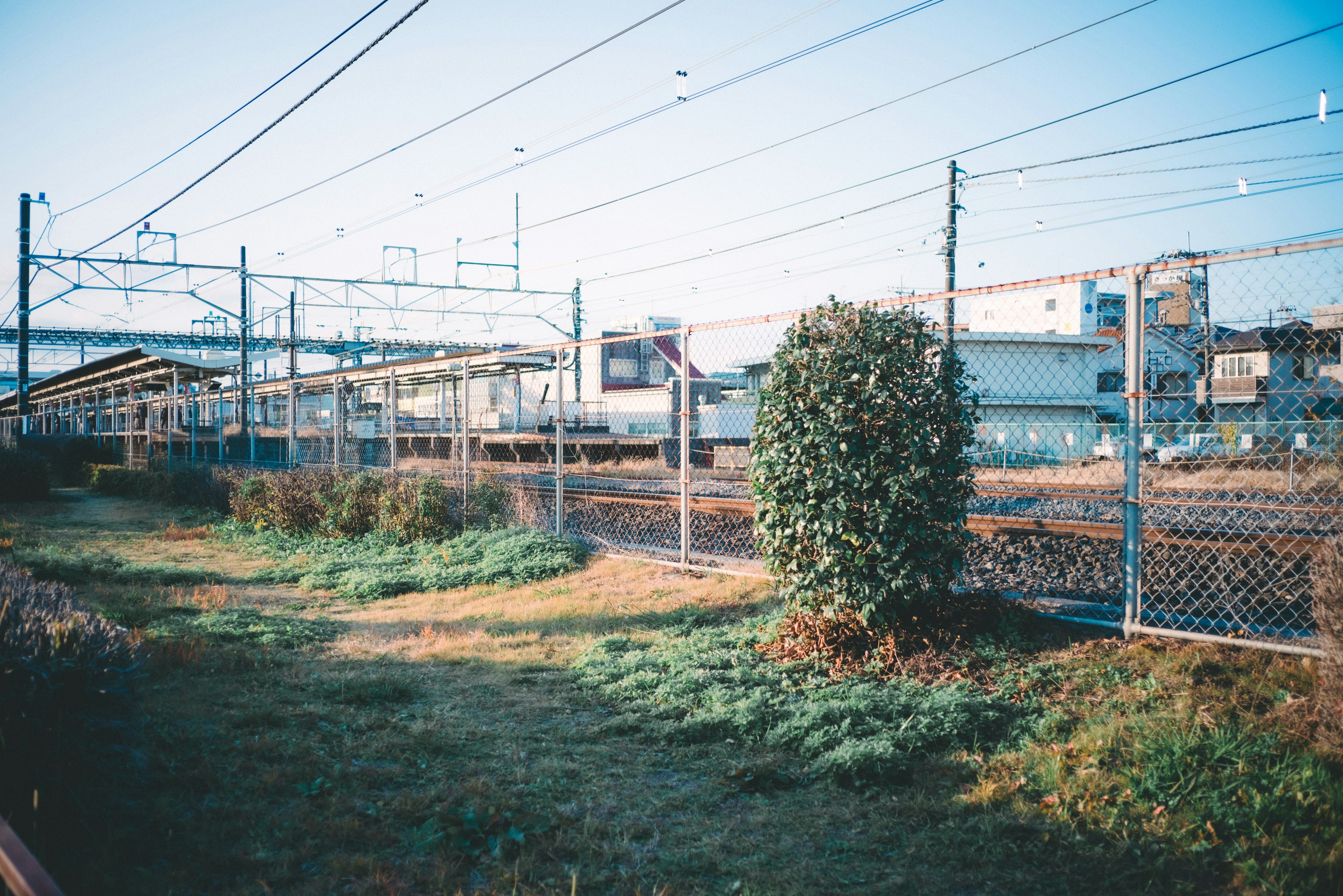 Paisaje con arbustos verdes y una cerca cerca de una vía de tren