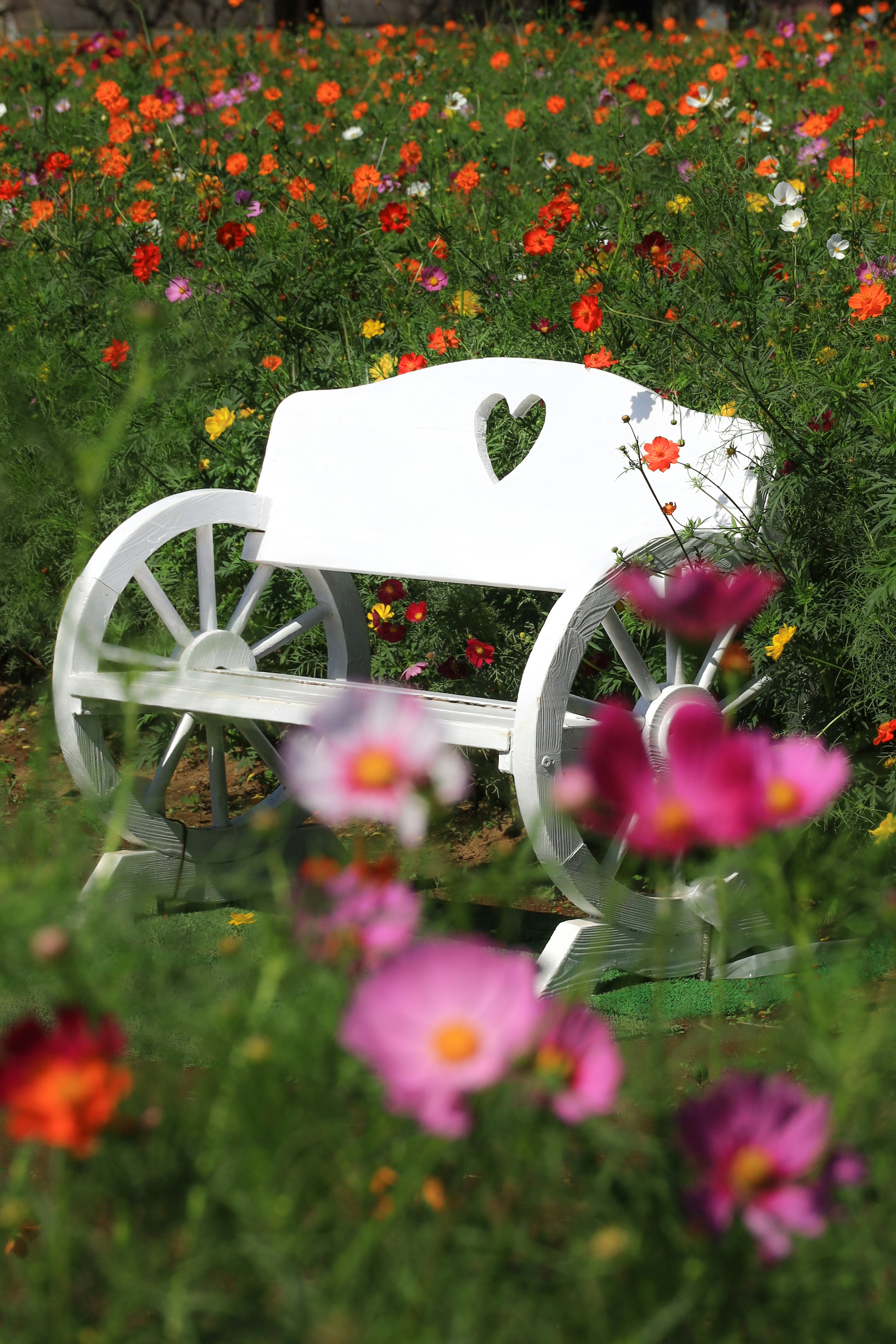 White bench with a heart design surrounded by colorful flowers