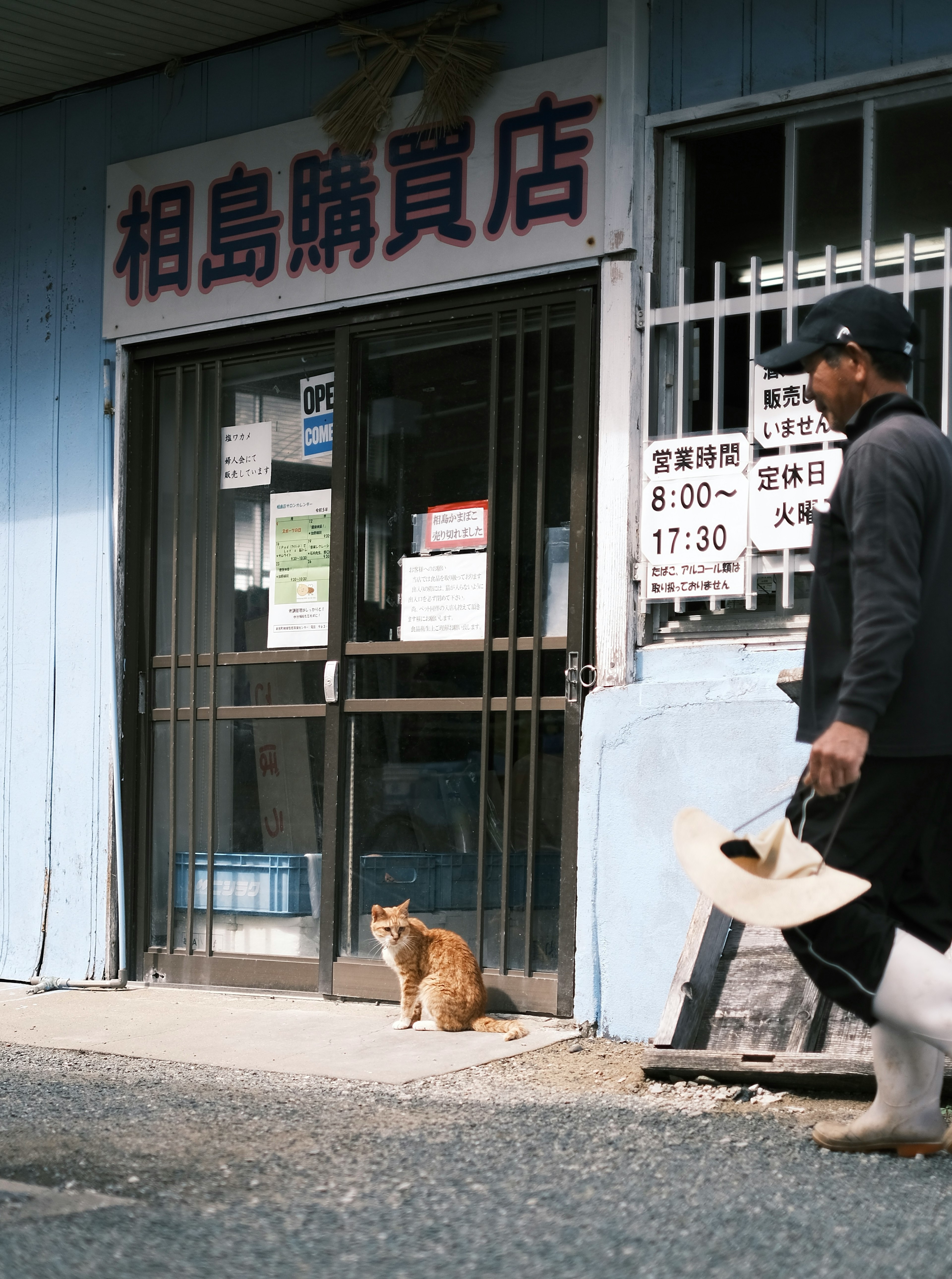 猫が店の前に座っている商店の外観