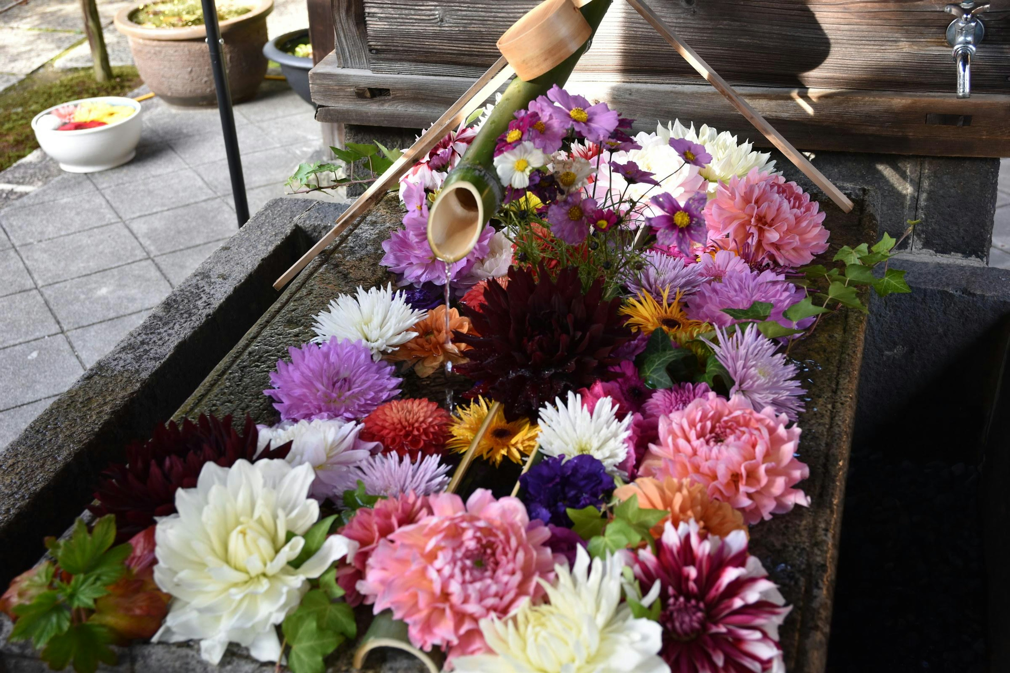 Fiori colorati che galleggiano in un bacino d'acqua con un becco di bambù