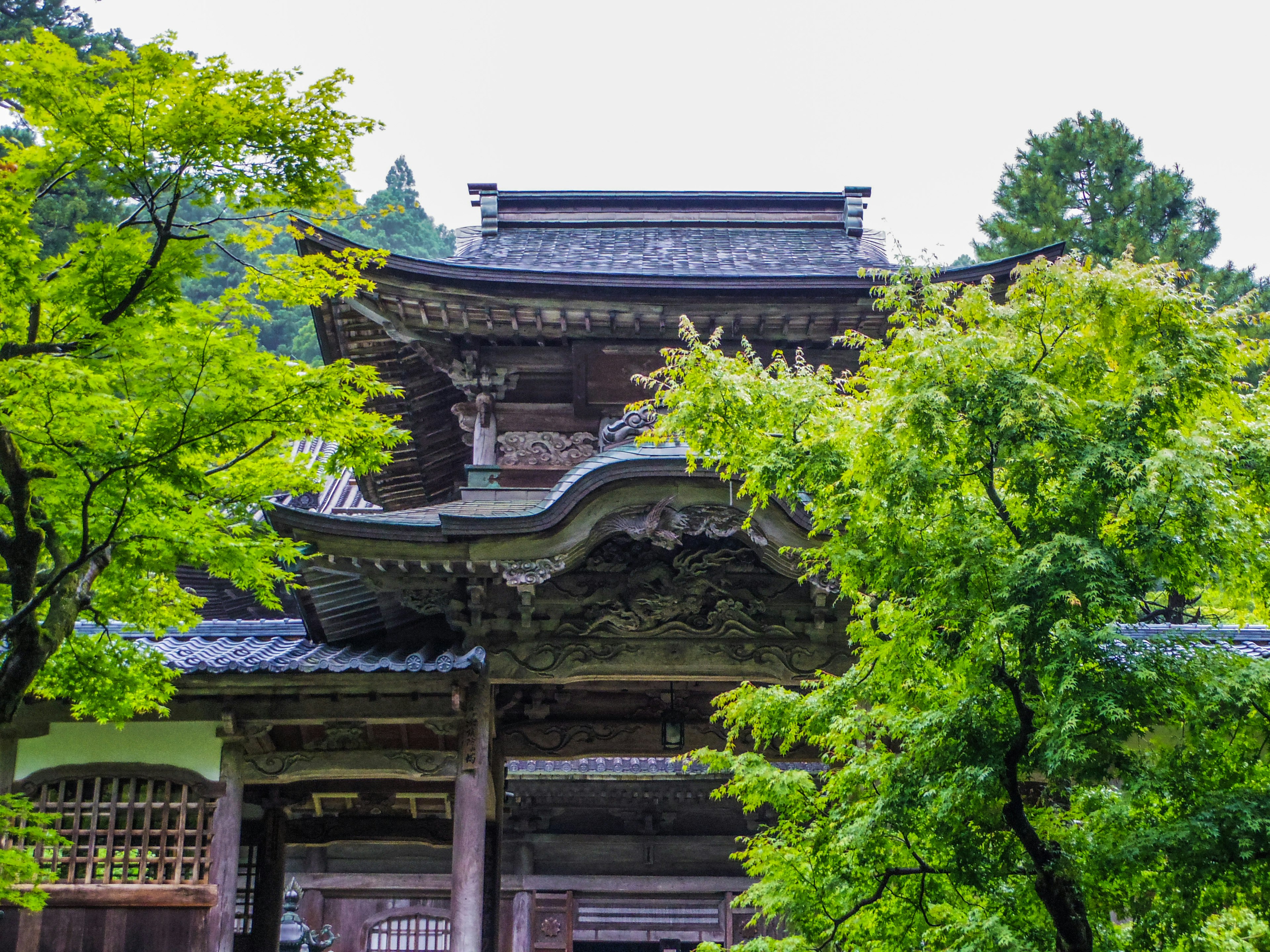 Traditionelles japanisches Tempelgebäude umgeben von Grün