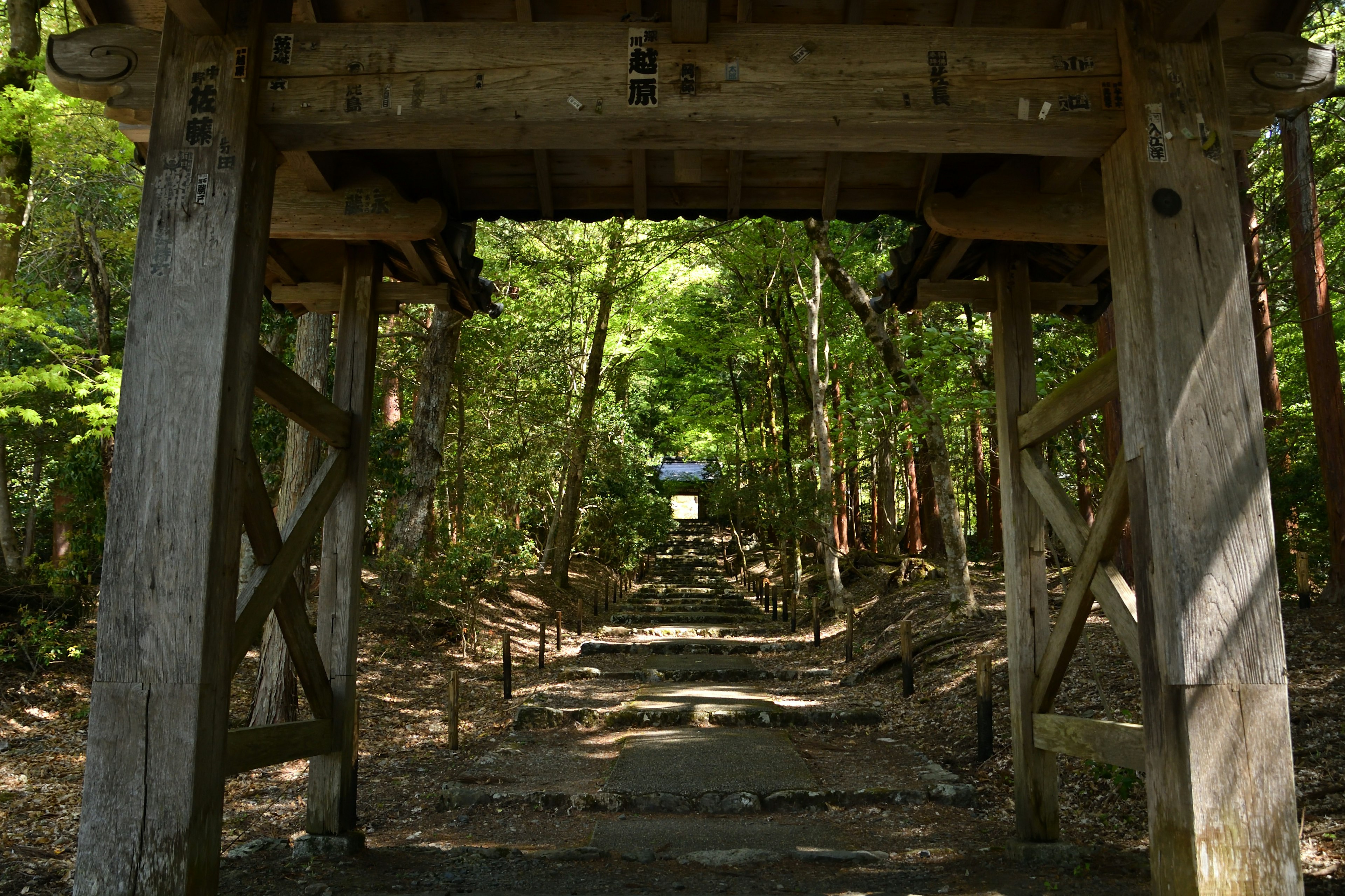 Wooden gate leading into a lush green forest path