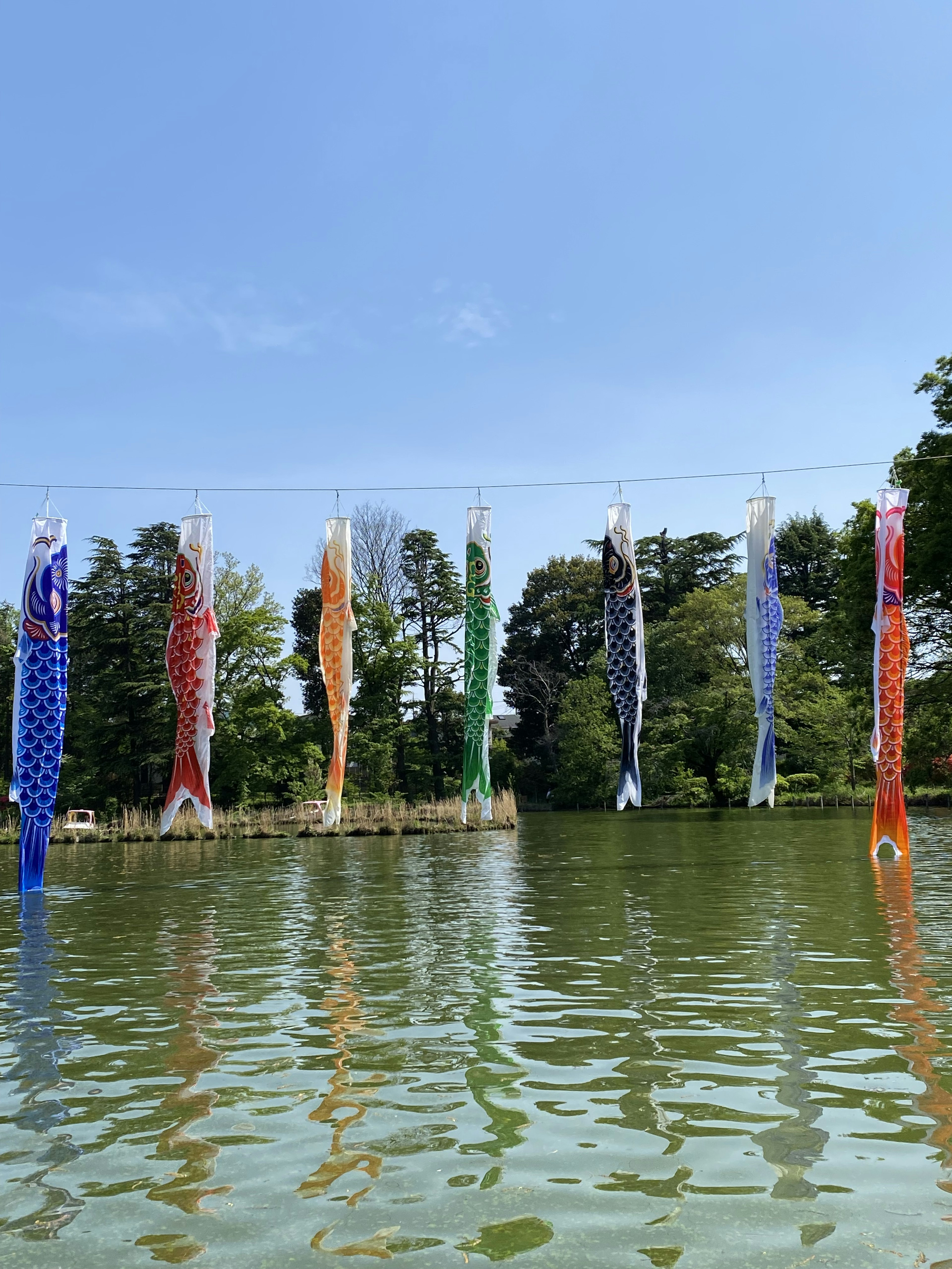 Banderas de koi coloridas colgando bajo un cielo azul reflejándose en la superficie del agua