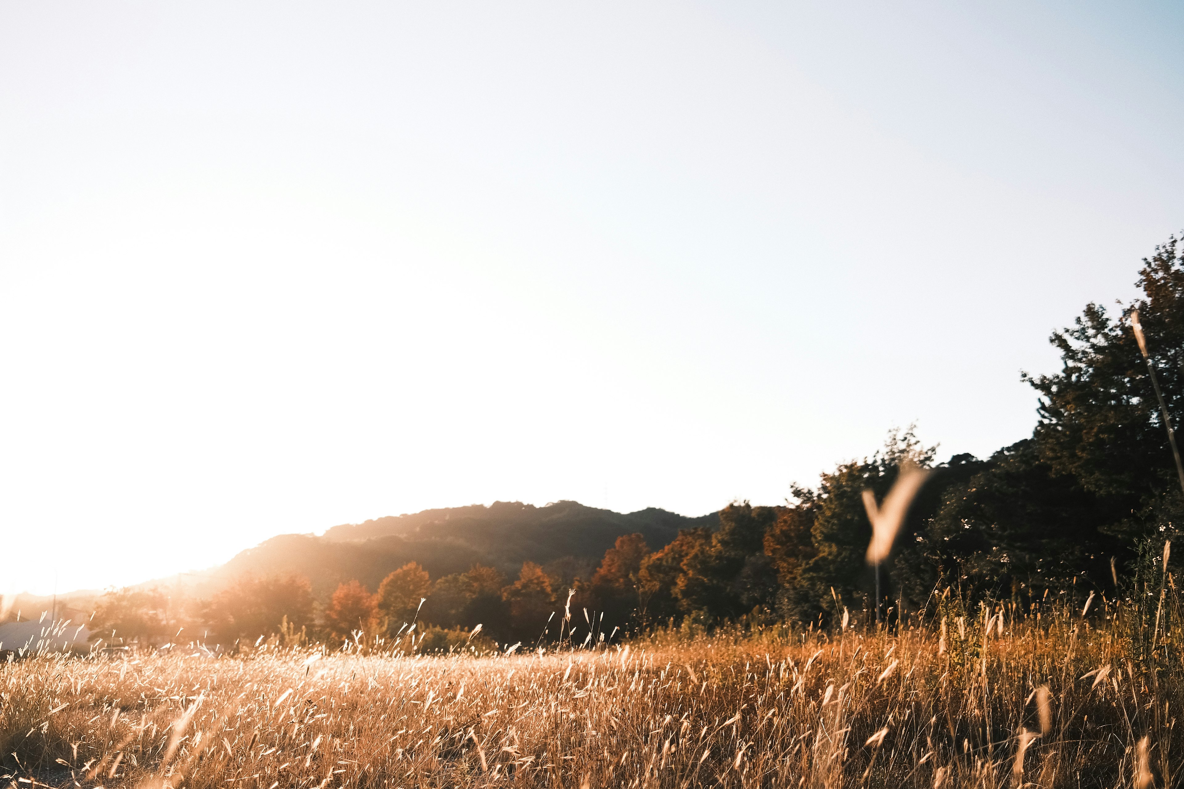 Sunset over a grassy field with silhouettes of mountains