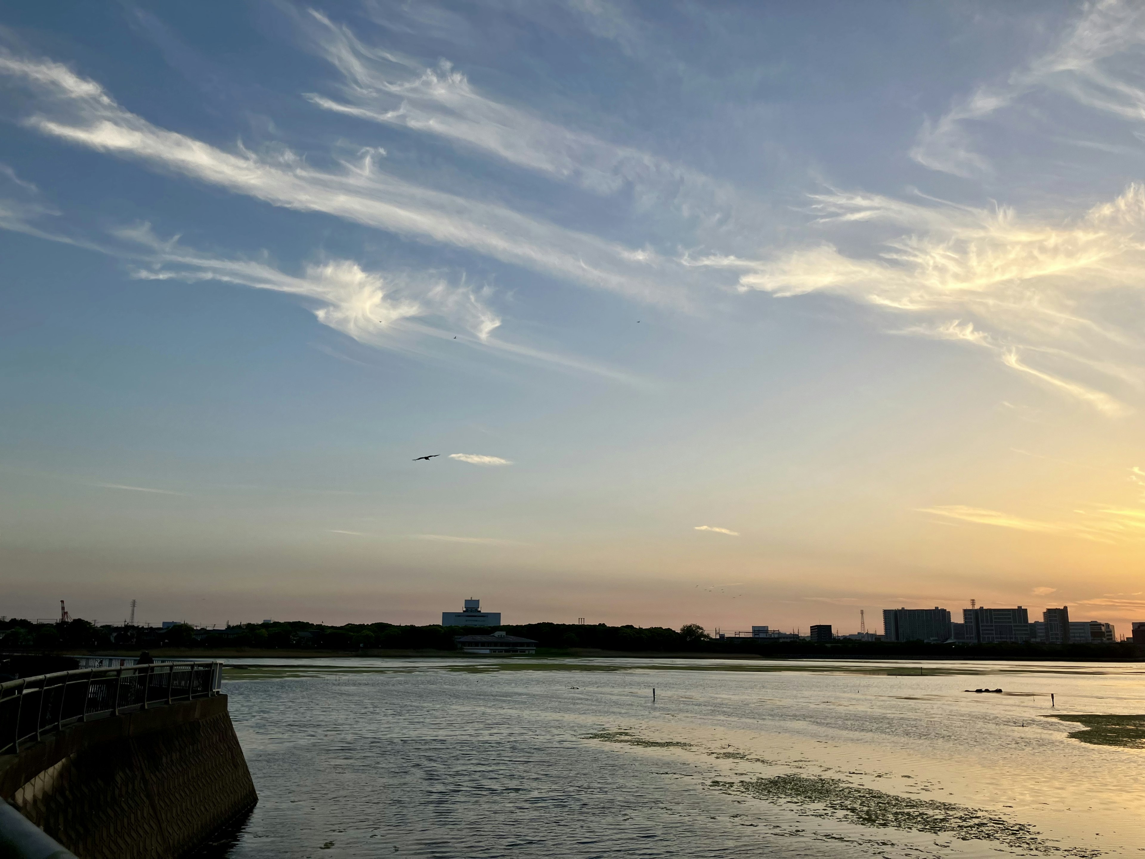 夕日が映る川の風景と青い空に浮かぶ雲