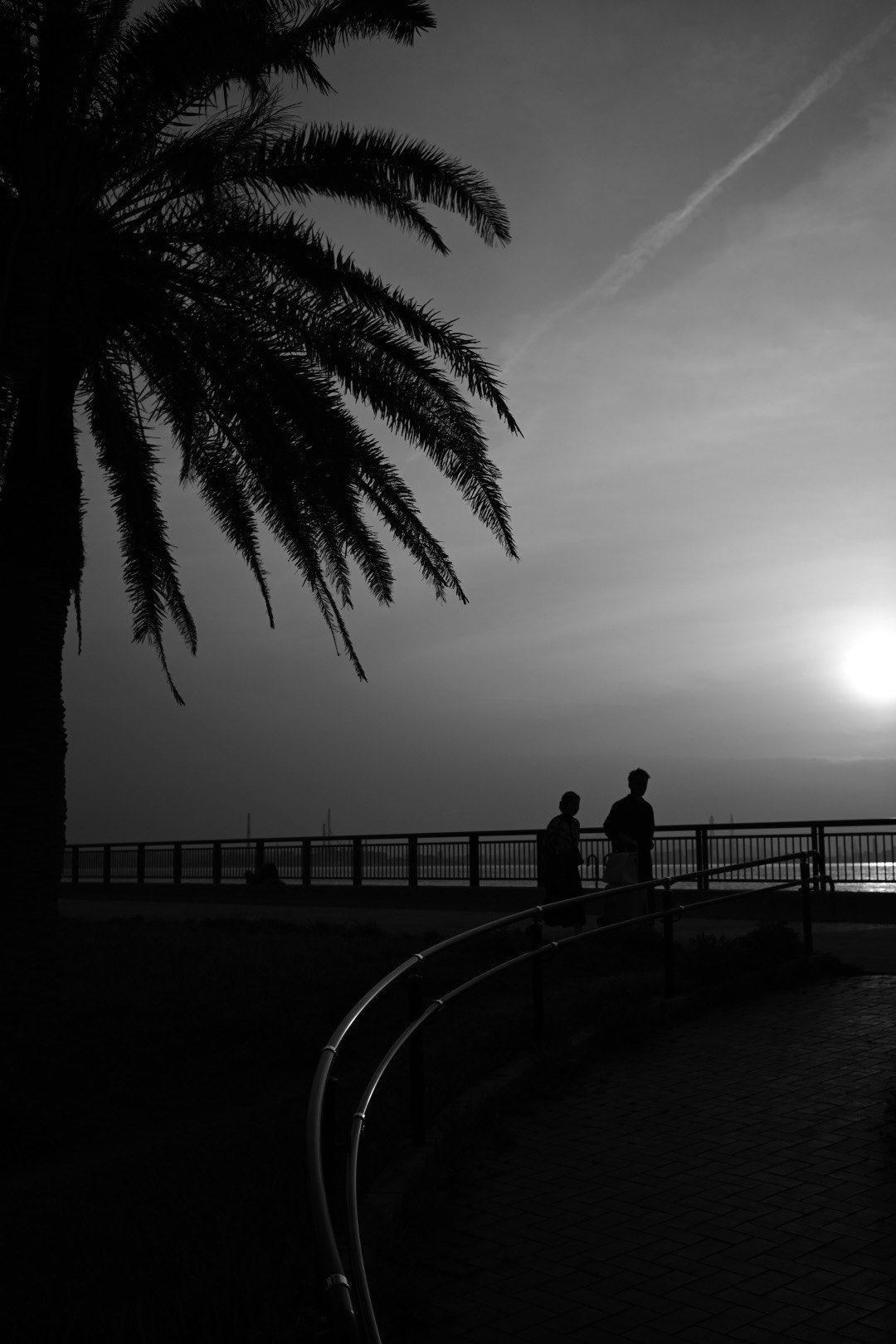 Silhouettes of two people standing along a curved path with a palm tree against a sunset sky