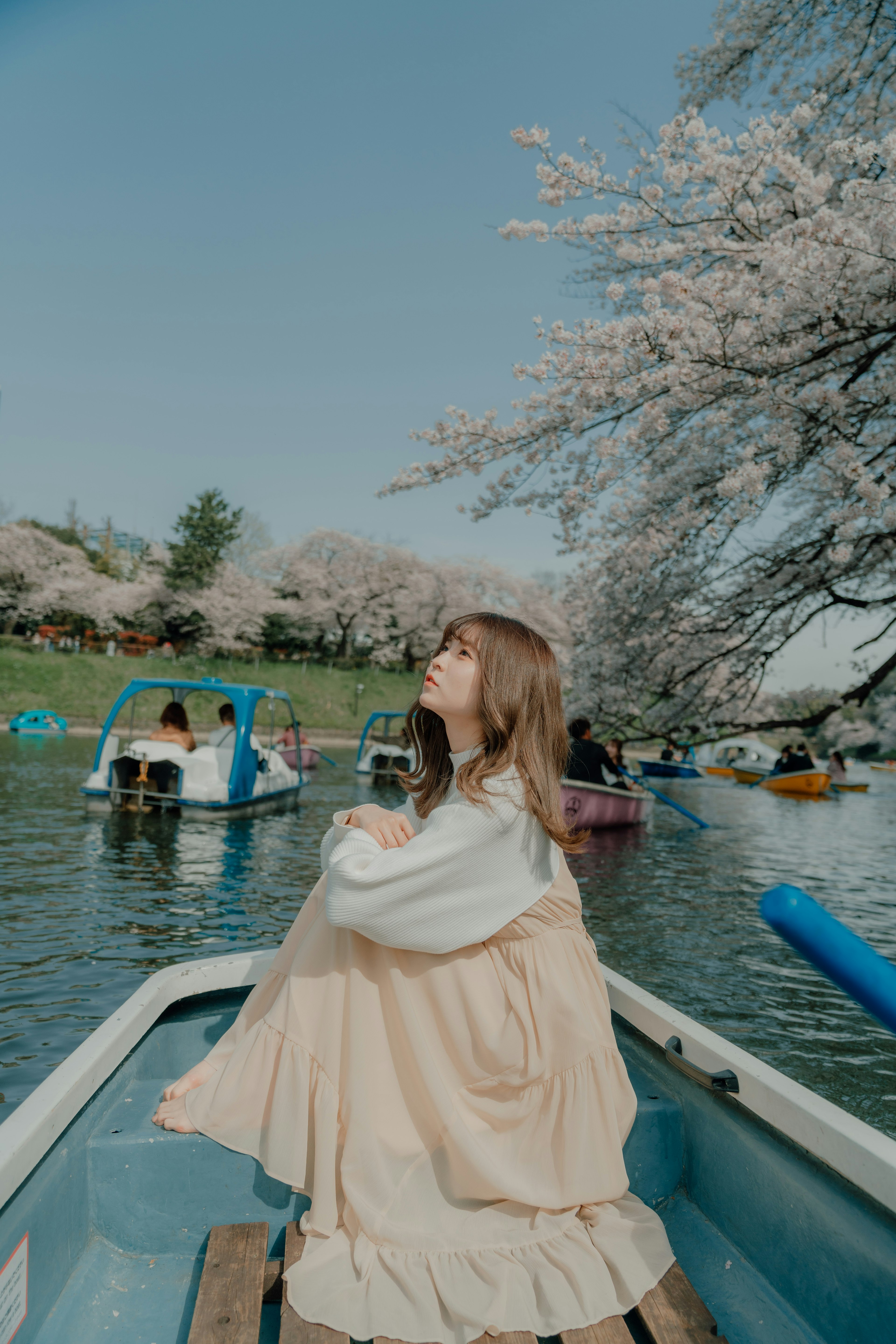 桜の木の下でボートに乗る女性の後ろ姿