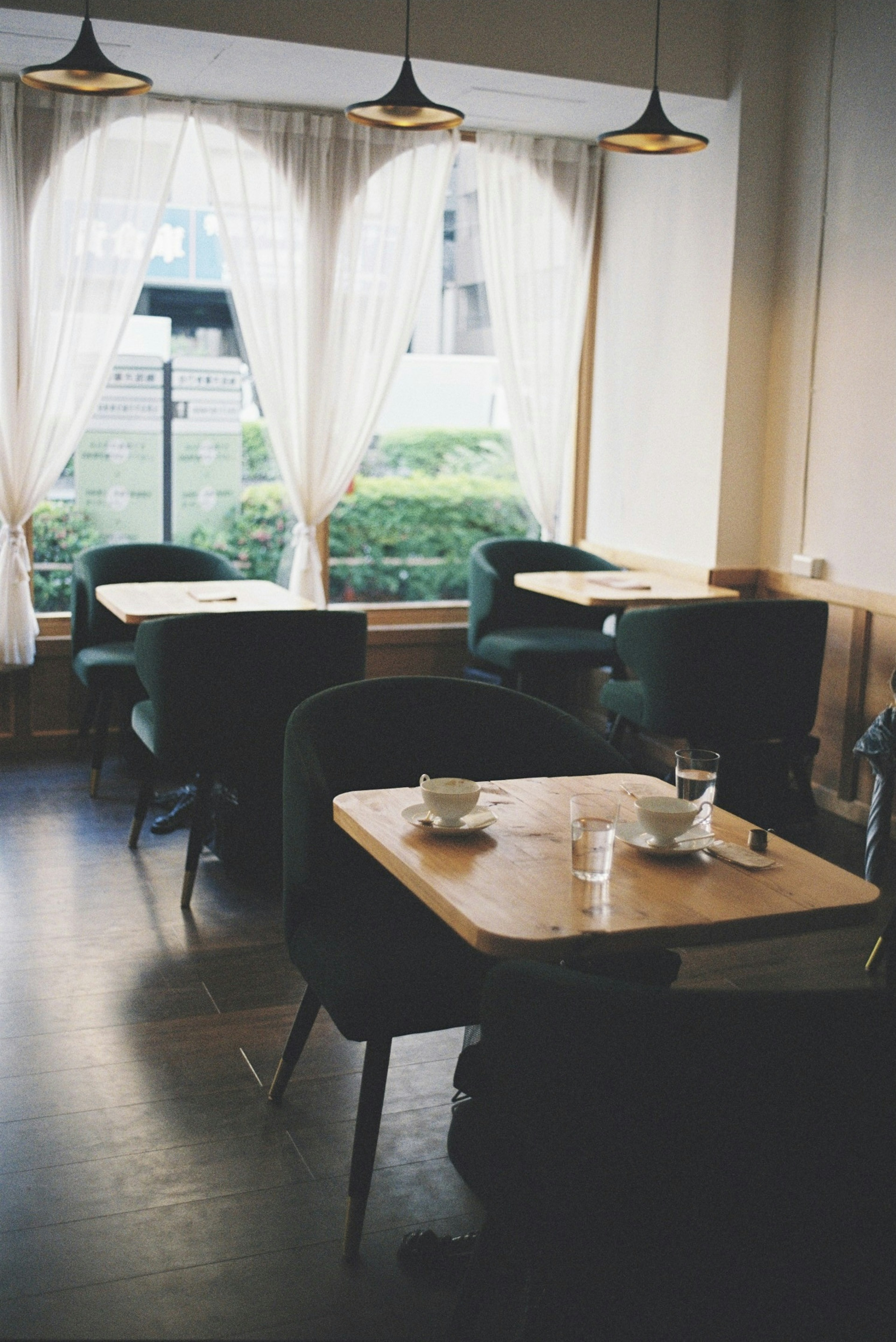 Cozy cafe interior with tables and chairs white curtains and green plants