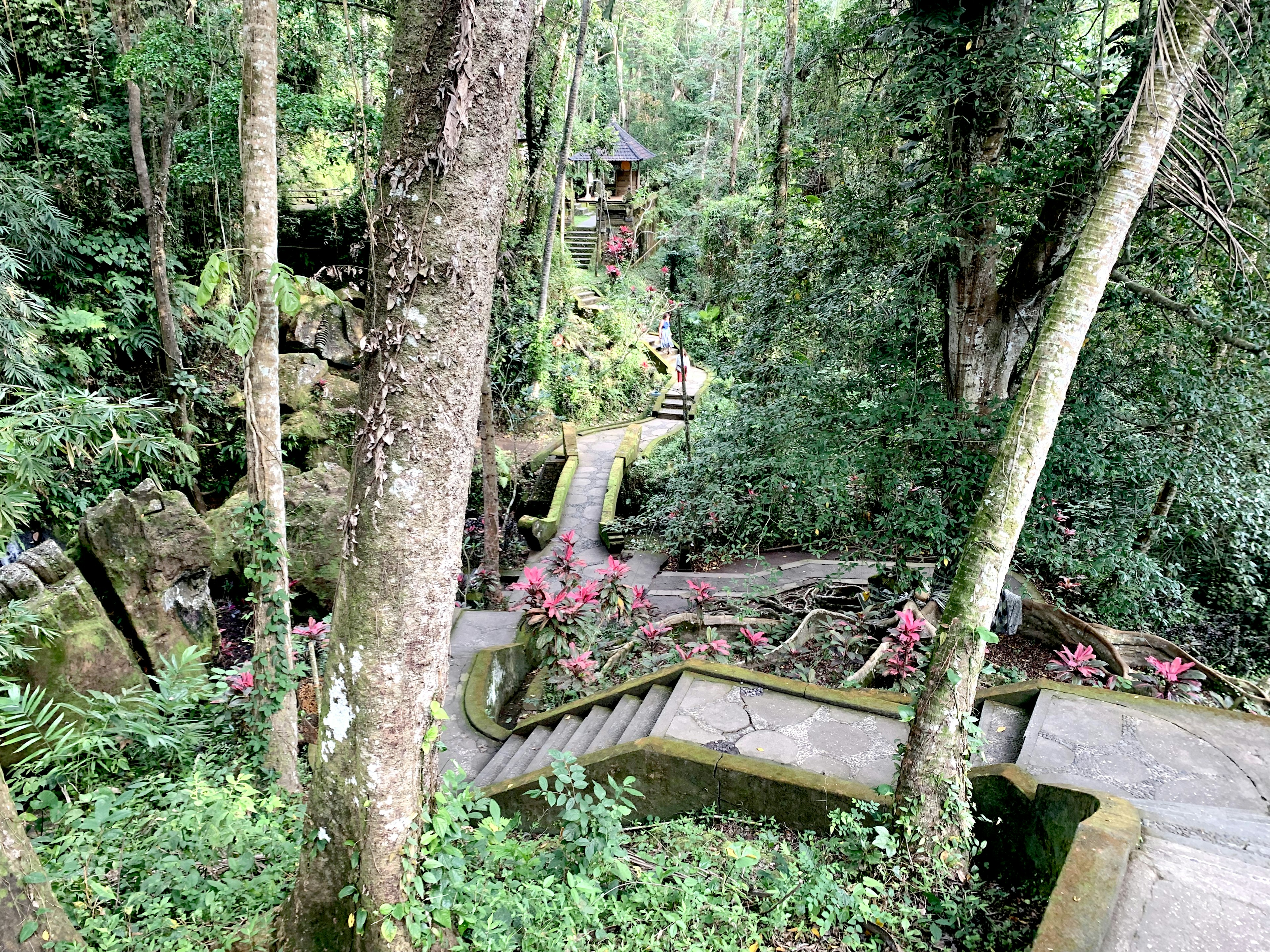 Pemandangan indah jalan berliku dengan tangga dikelilingi oleh pepohonan hijau dan bunga