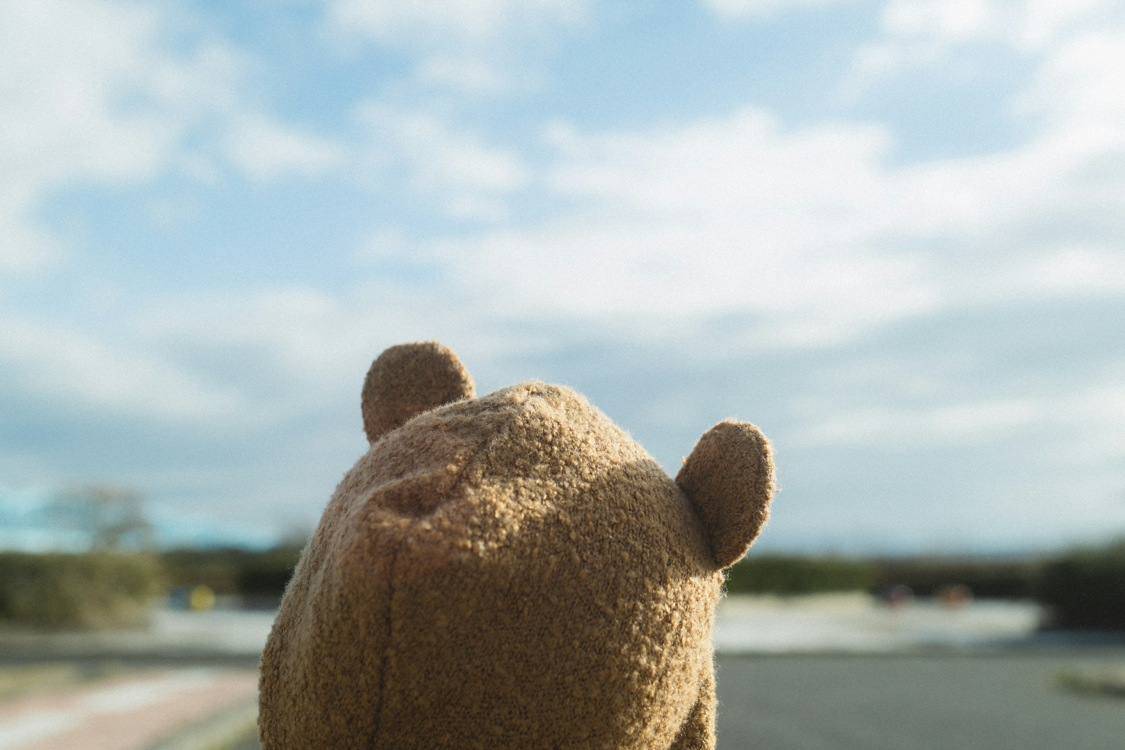 A brown teddy bear looking towards the sky