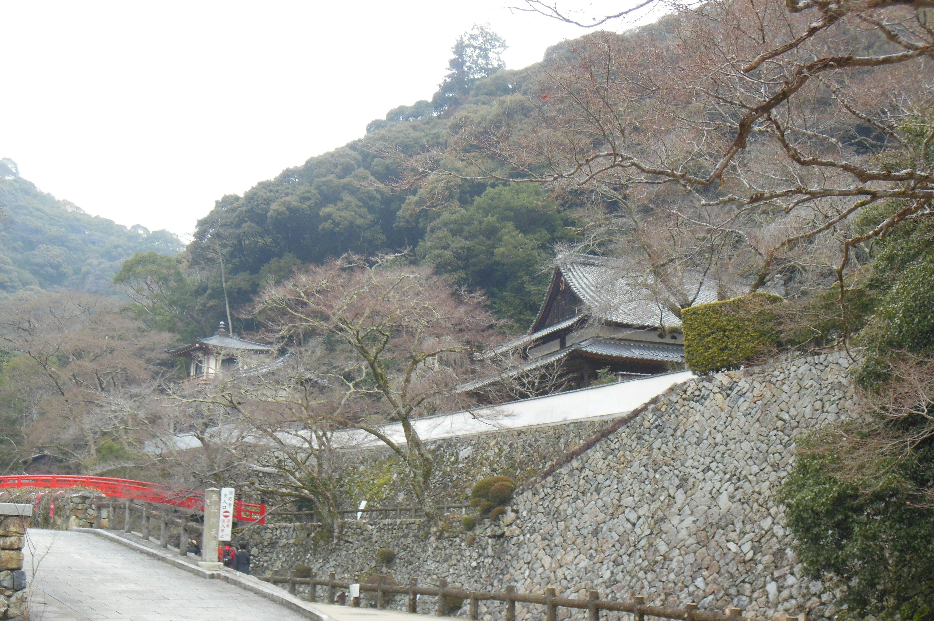 山の中にある古い寺院と桜の木の風景