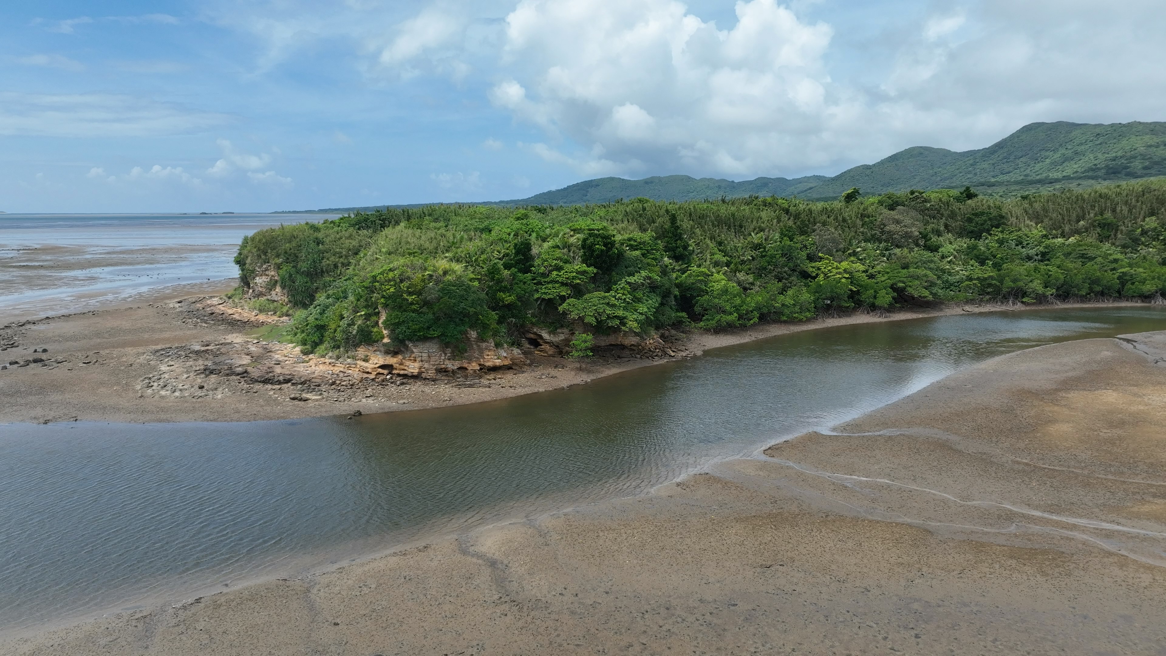 Isla verde con un río tranquilo