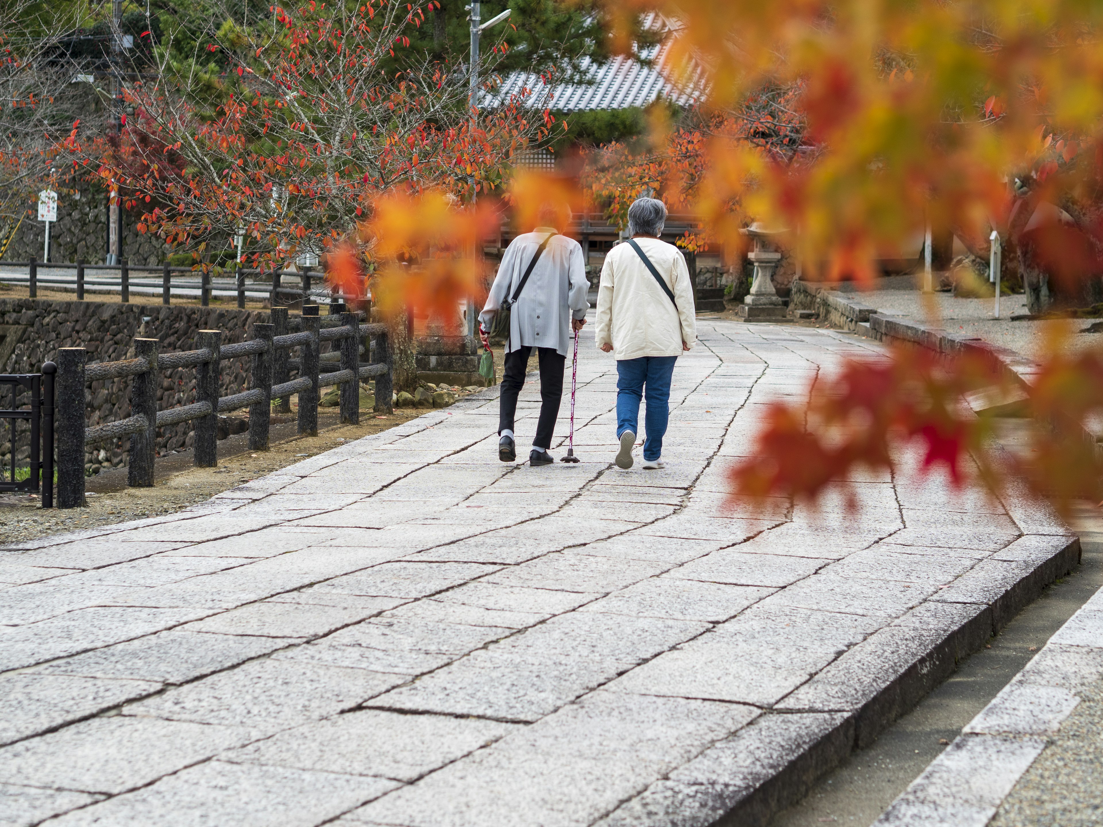 紅葉の中を歩く二人の高齢者の後ろ姿