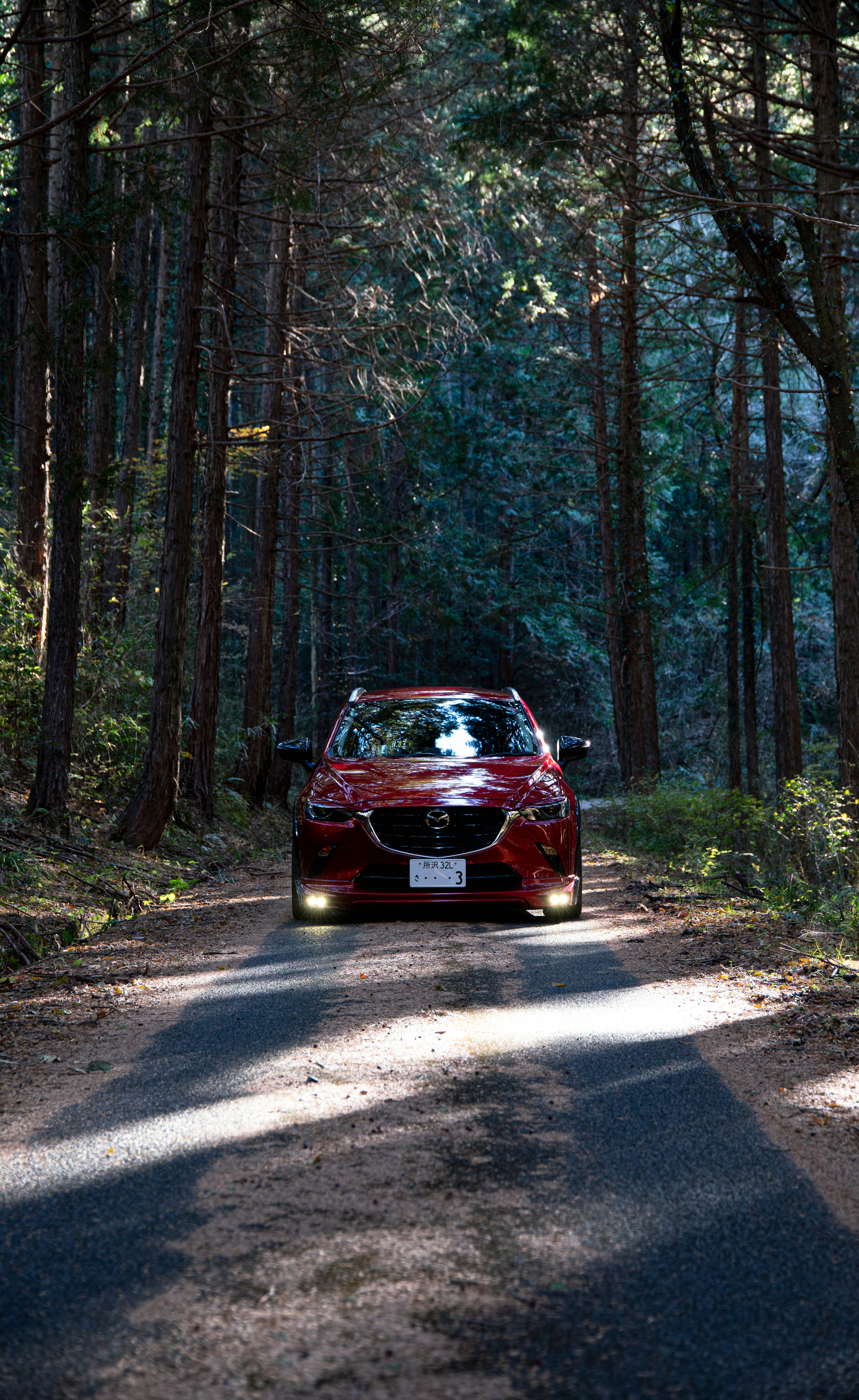 Ein rotes Auto auf einer Straße im Wald