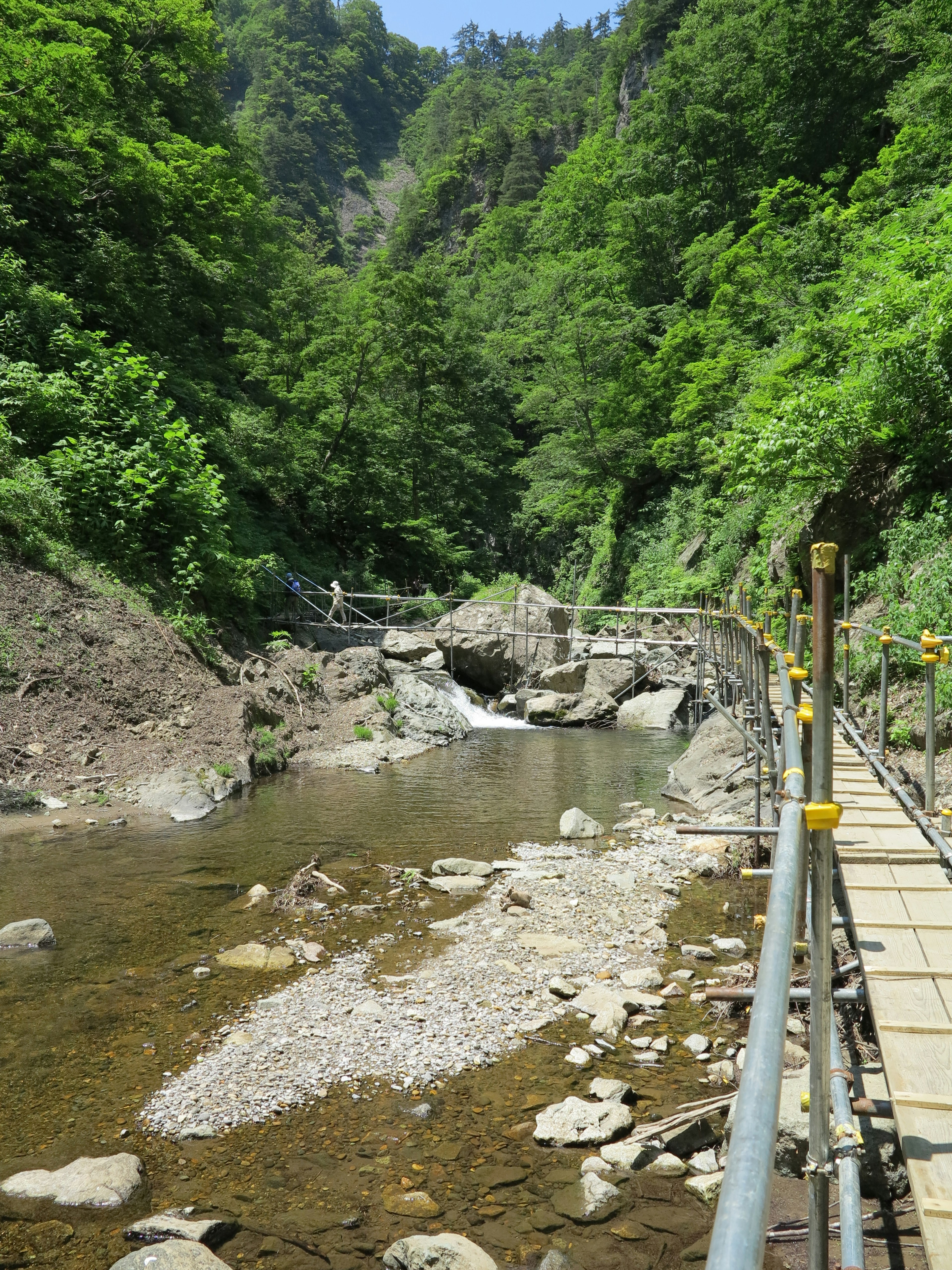 緑豊かな山の渓谷に流れる小川の景色