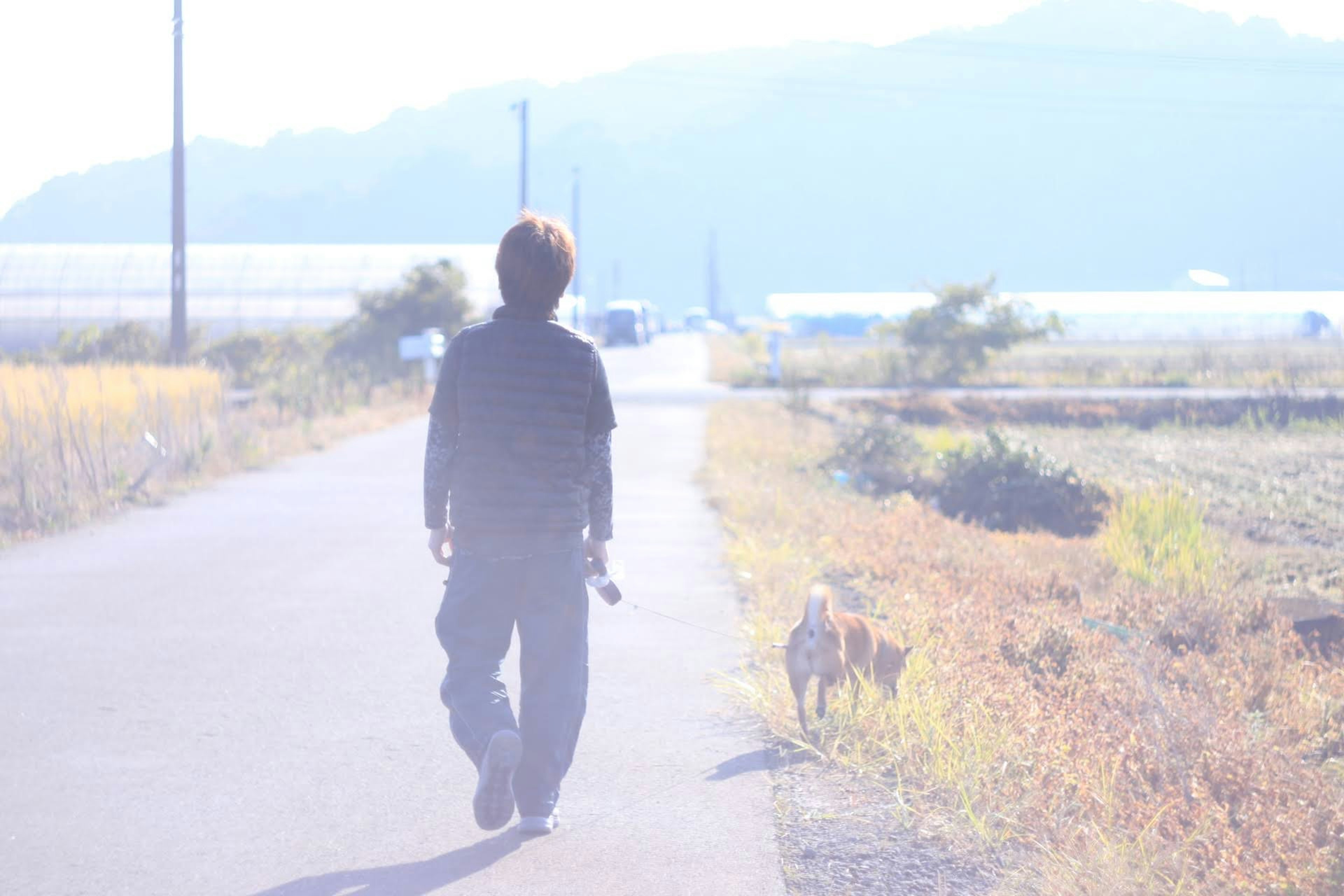 Silhouette d'une personne marchant avec un chien le long d'un chemin avec des montagnes en arrière-plan